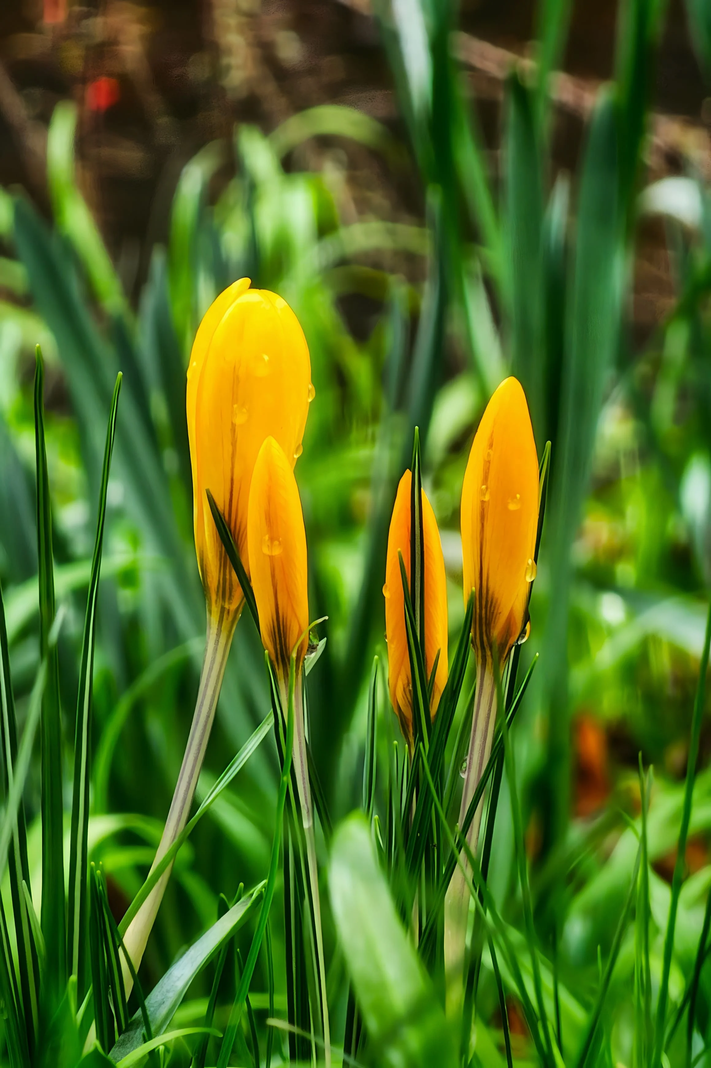 1 Year Ago: There’s Just So Much Spring Around