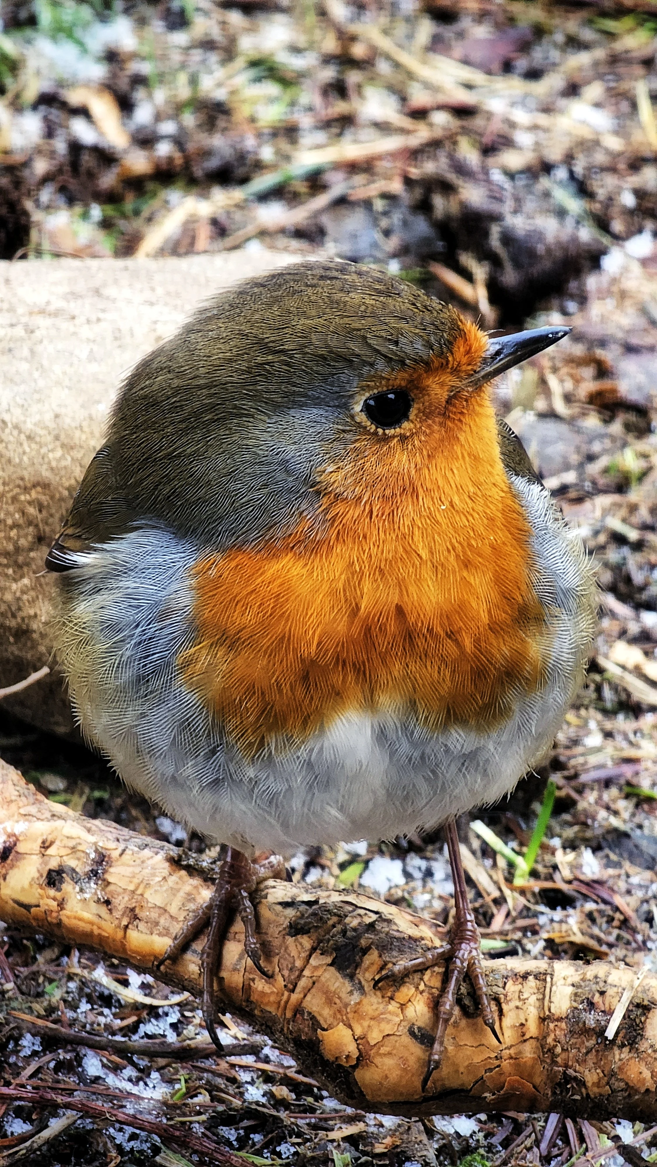 20250125_150109 (1).jpg