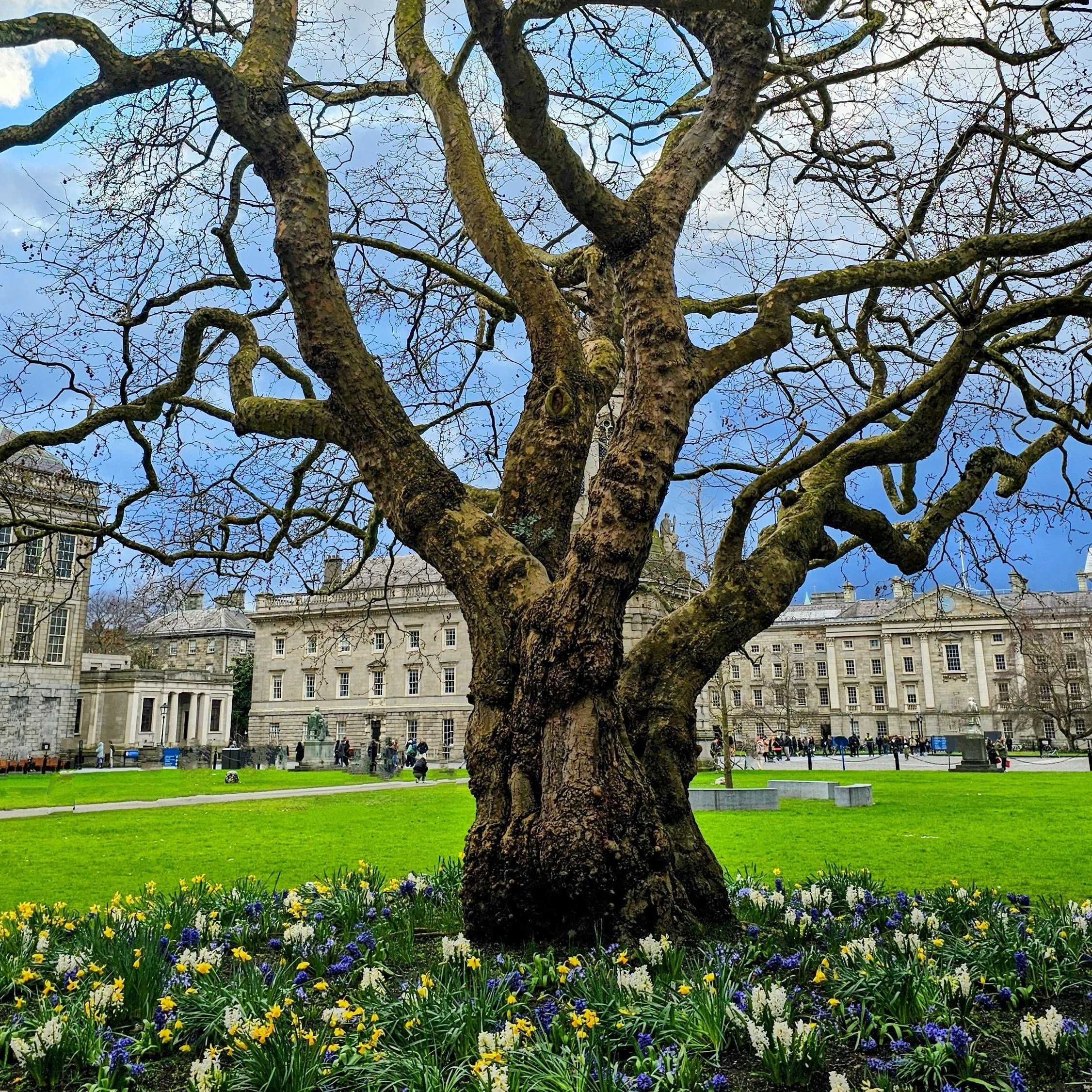 1 Year Ago: Ancient Roots meet Timeless Knowledge