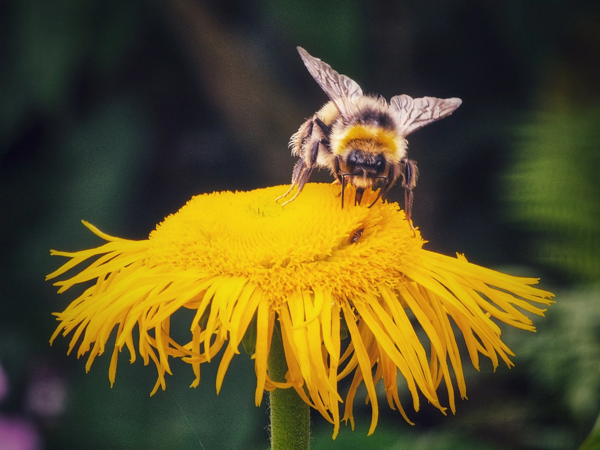 20250722_133928 (1).jpg