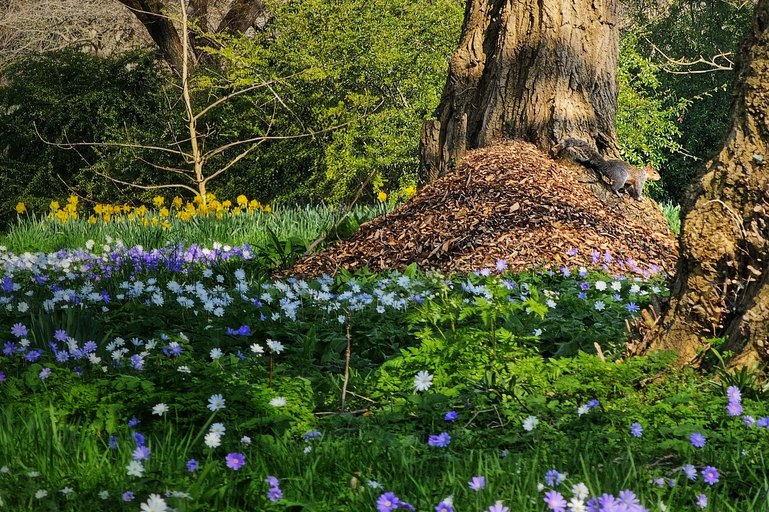 20250309_121444~2 (2).jpg