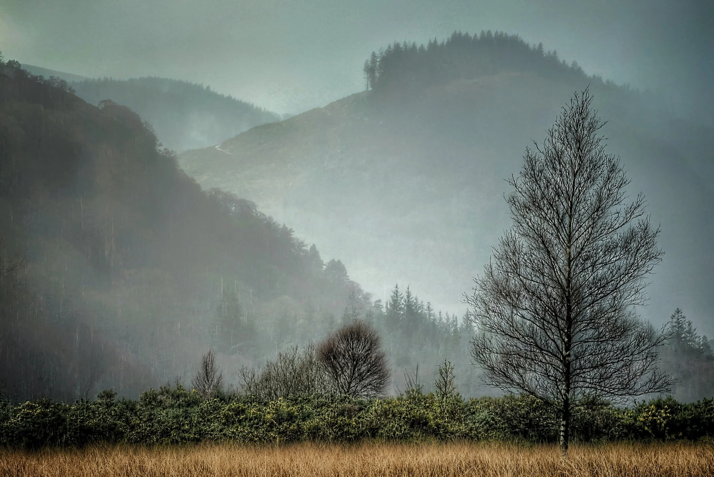 Wicklow Winter Layers