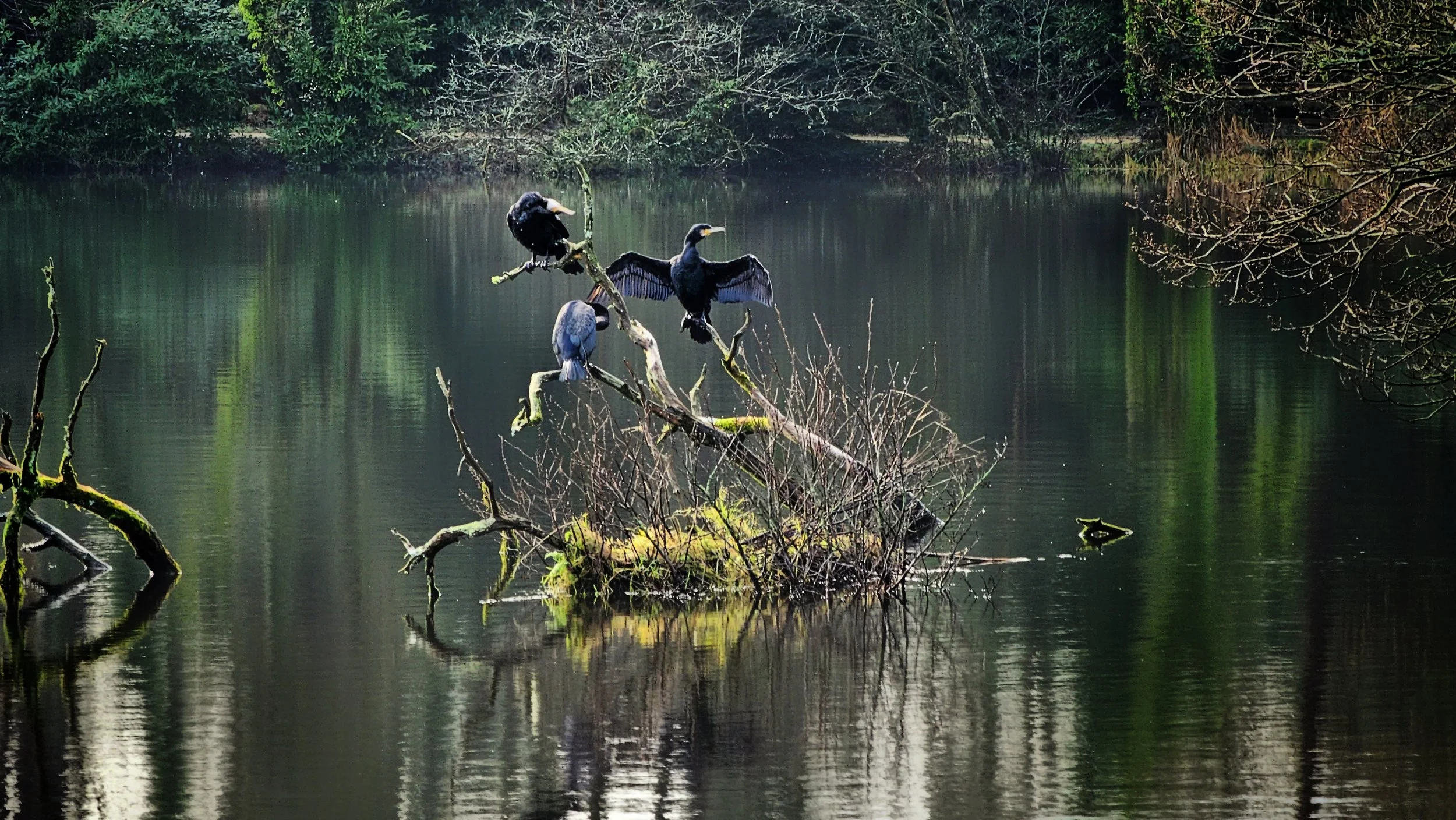 20250115_113758 (1).jpg