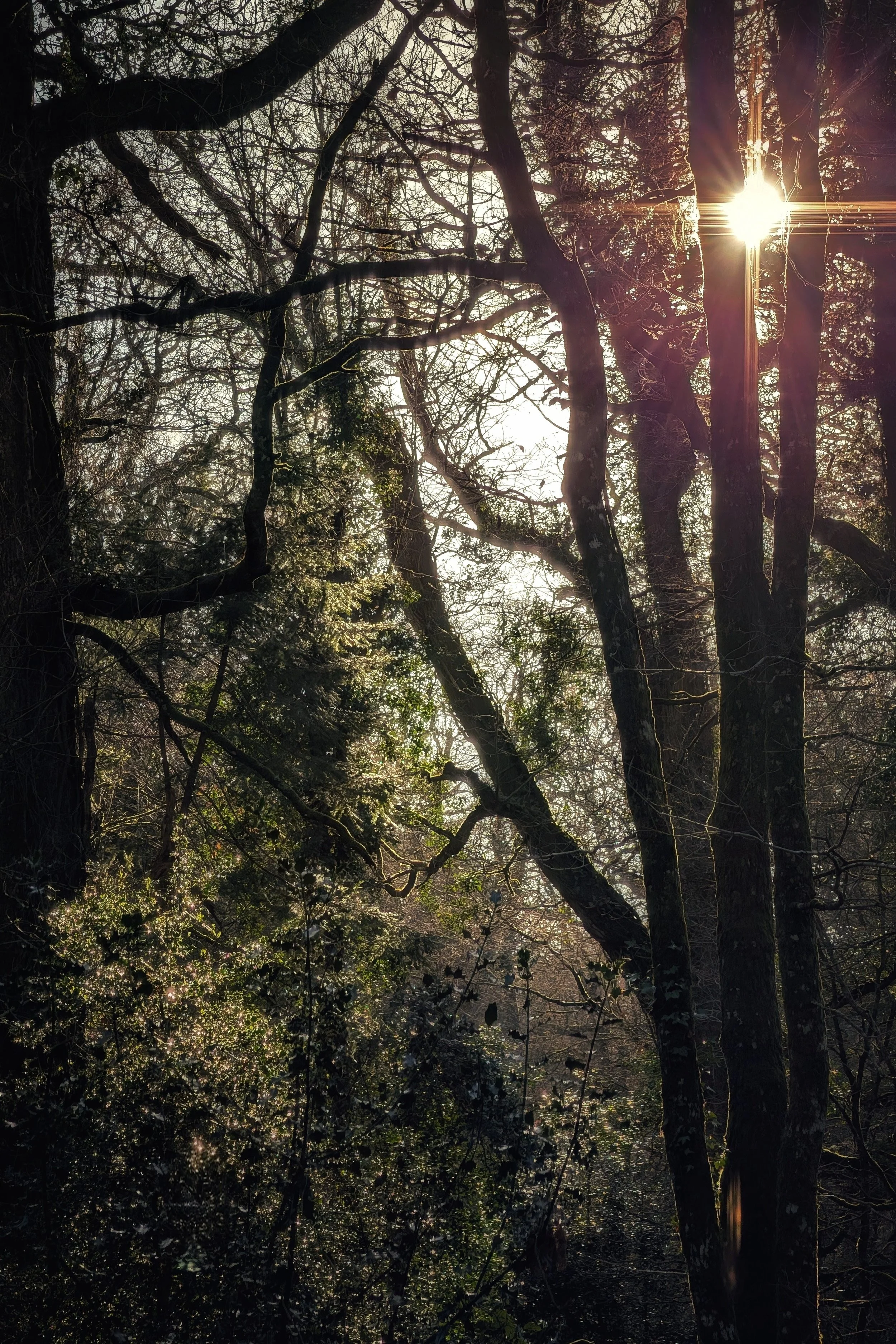 PXL_20260109_130325198~2 (1).jpg