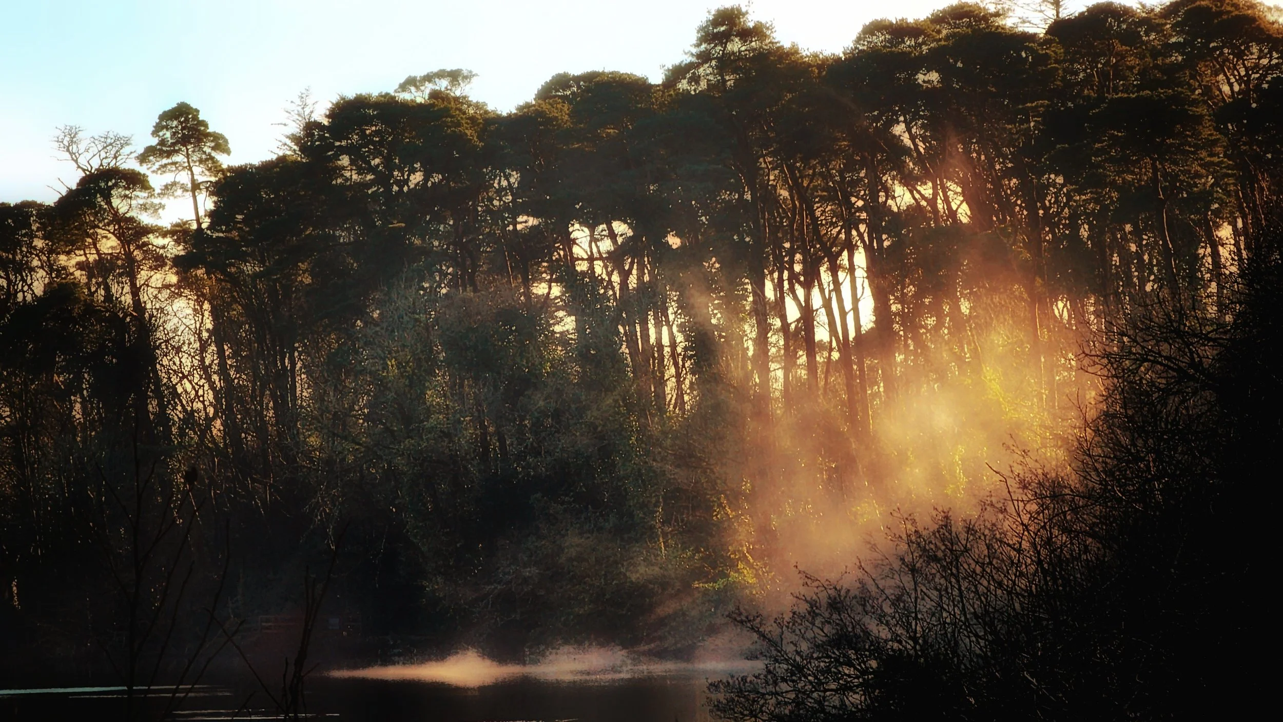 20250115_133052~2 (1) (1) (1).jpg