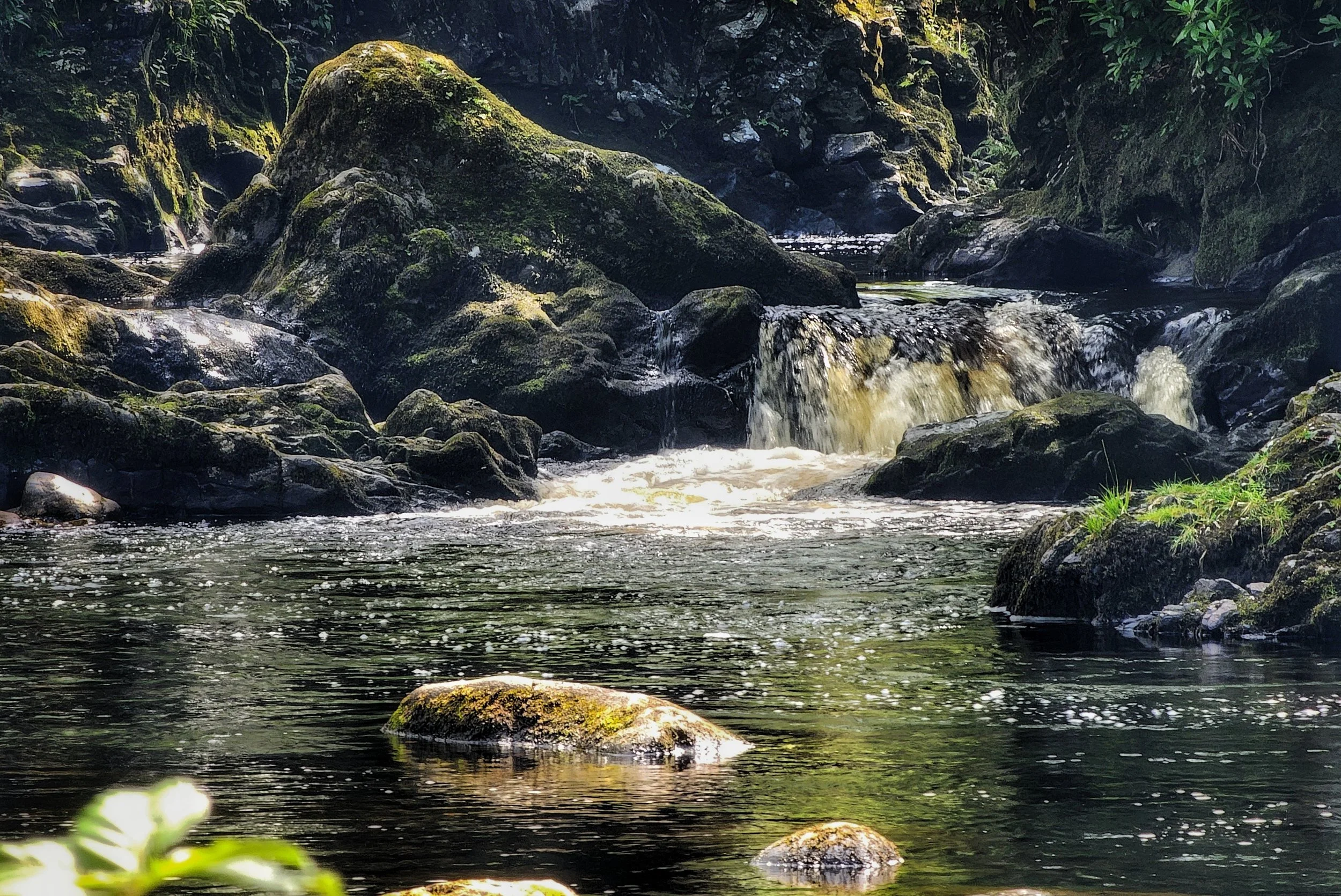 20250807_125656 (1).jpg