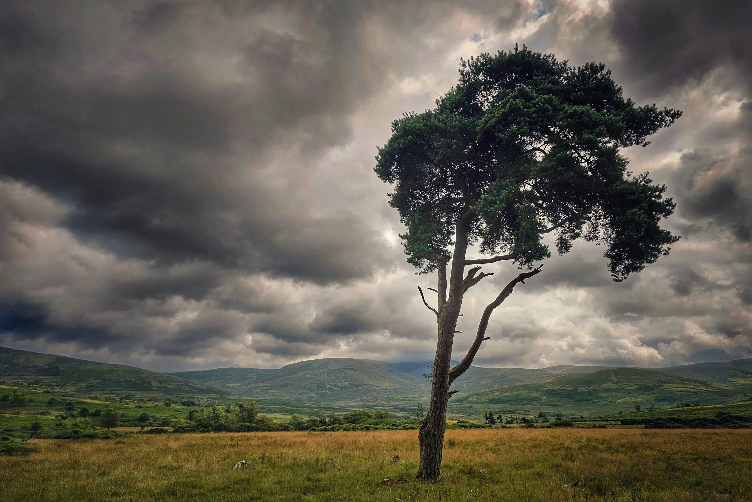 20250726_131936~4 (1).jpg