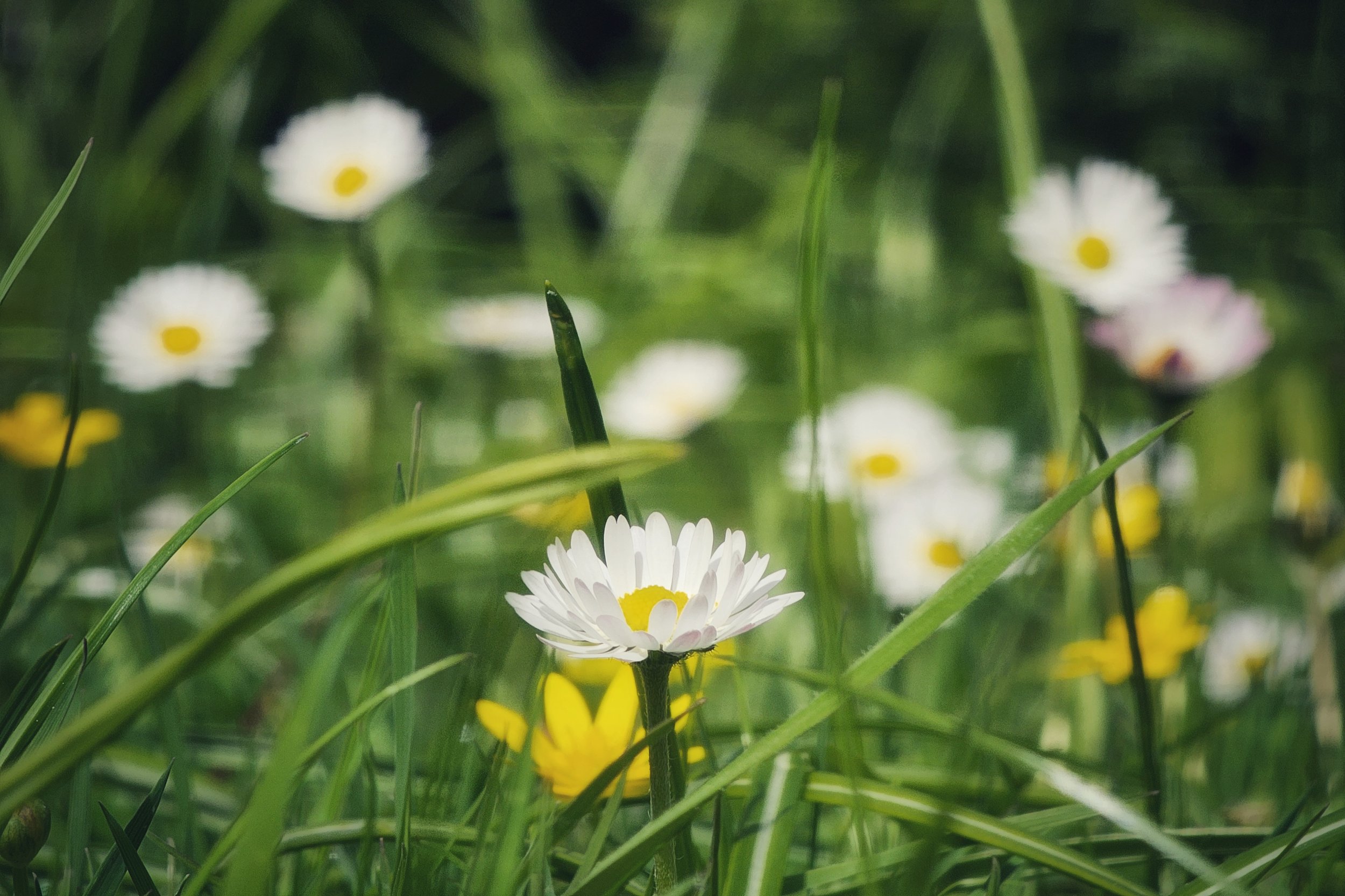 20250417_113849 (1).jpg