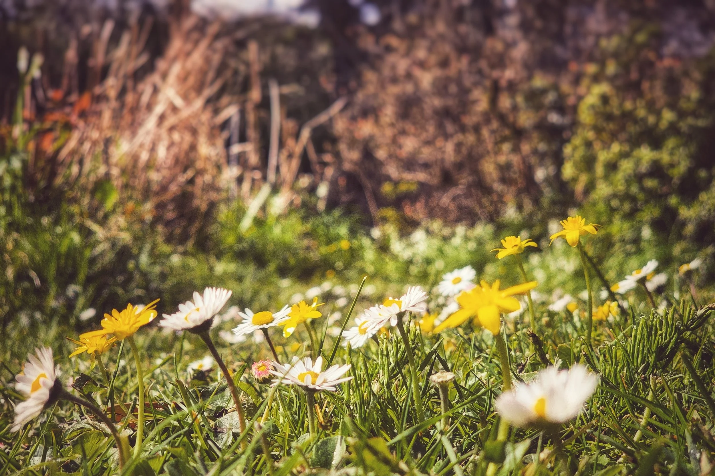 20250417_112438~2 (1).jpg