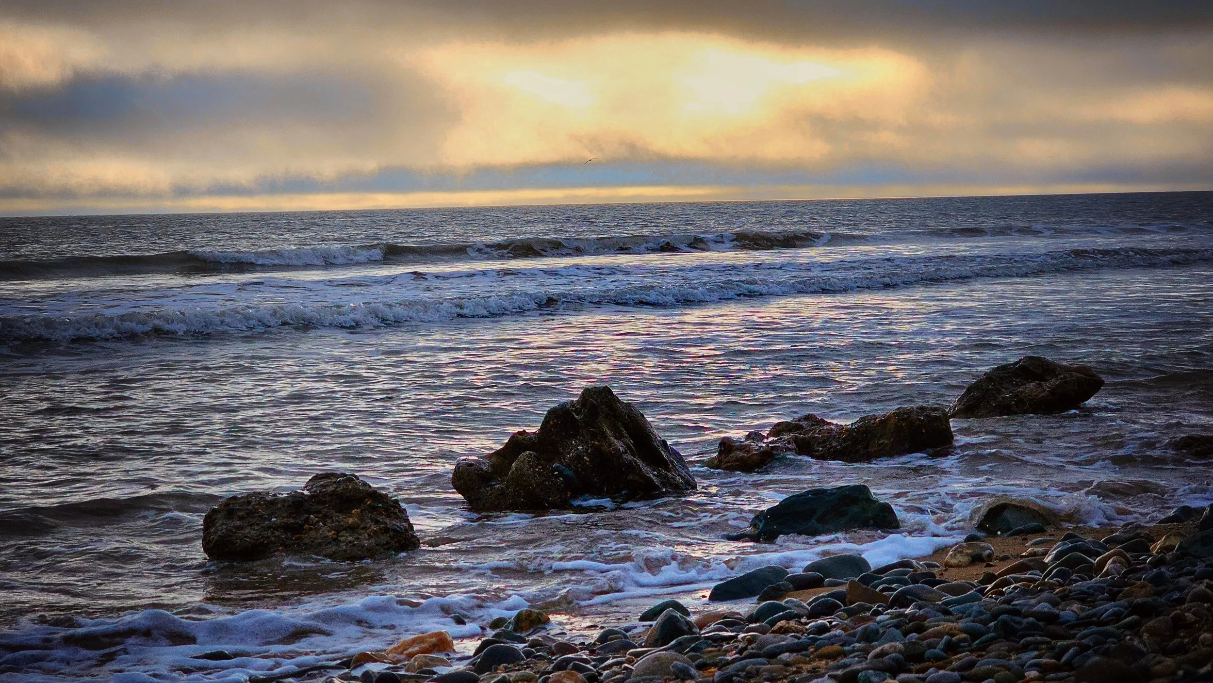 20241227_114916 (1)~2 (1).jpg