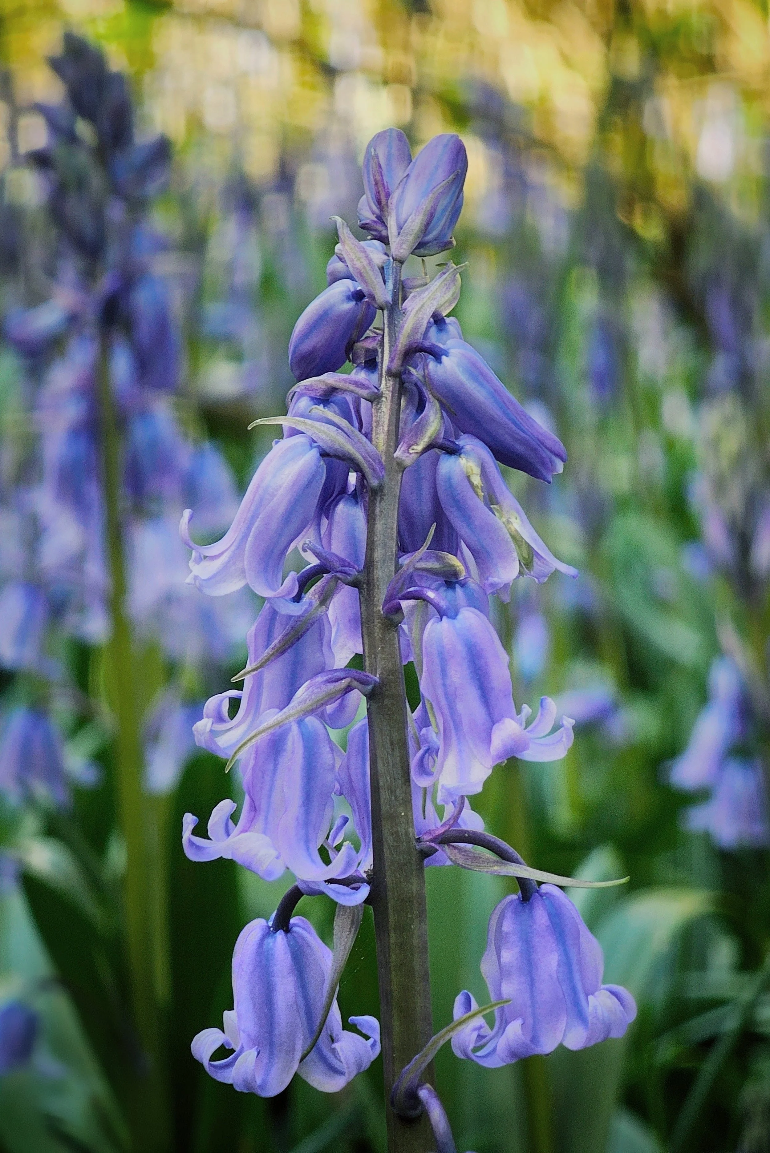 20250413_113432 (1) (1)~2.jpg