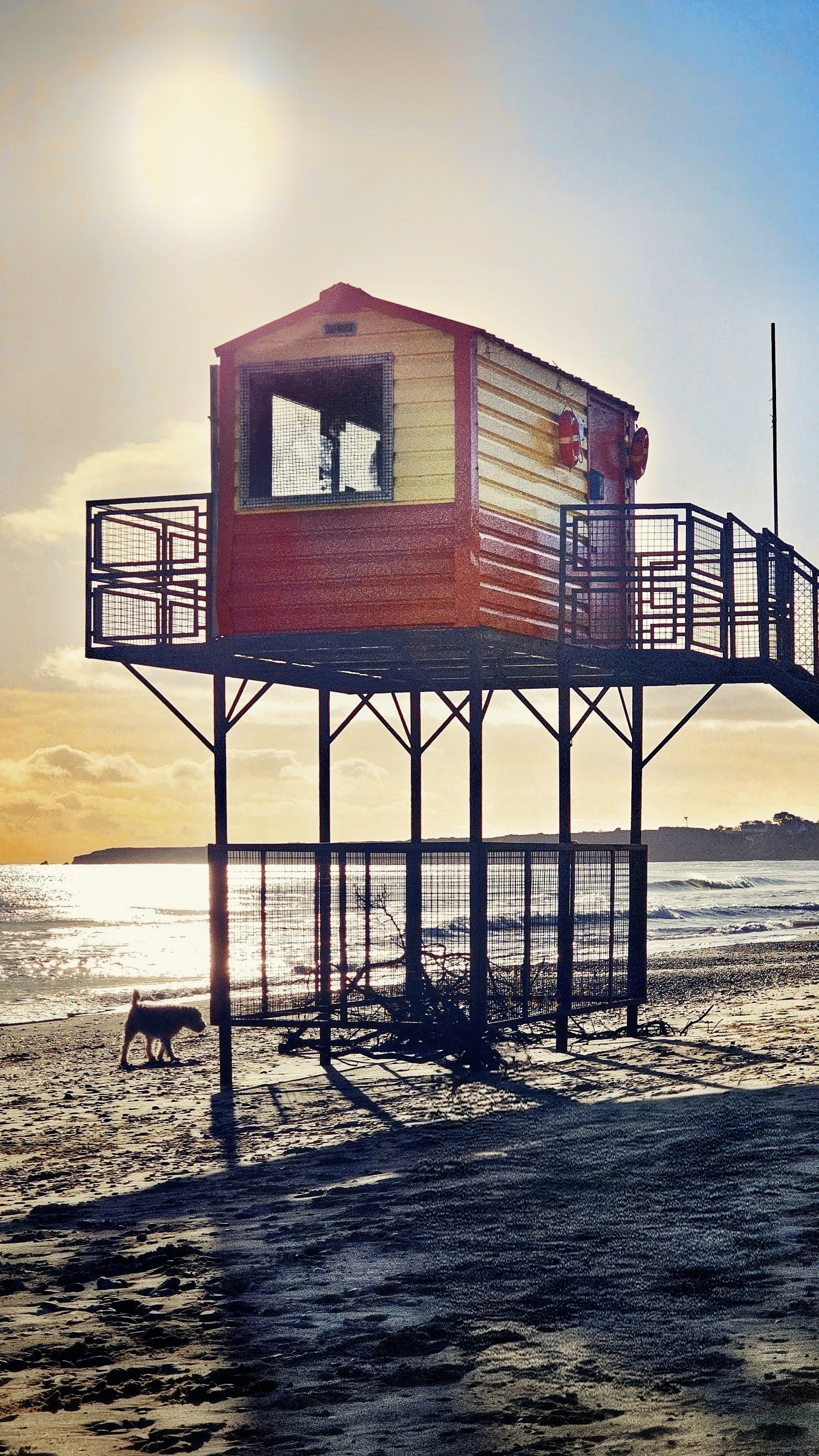 20250107_120352~4 (1) (1).jpg