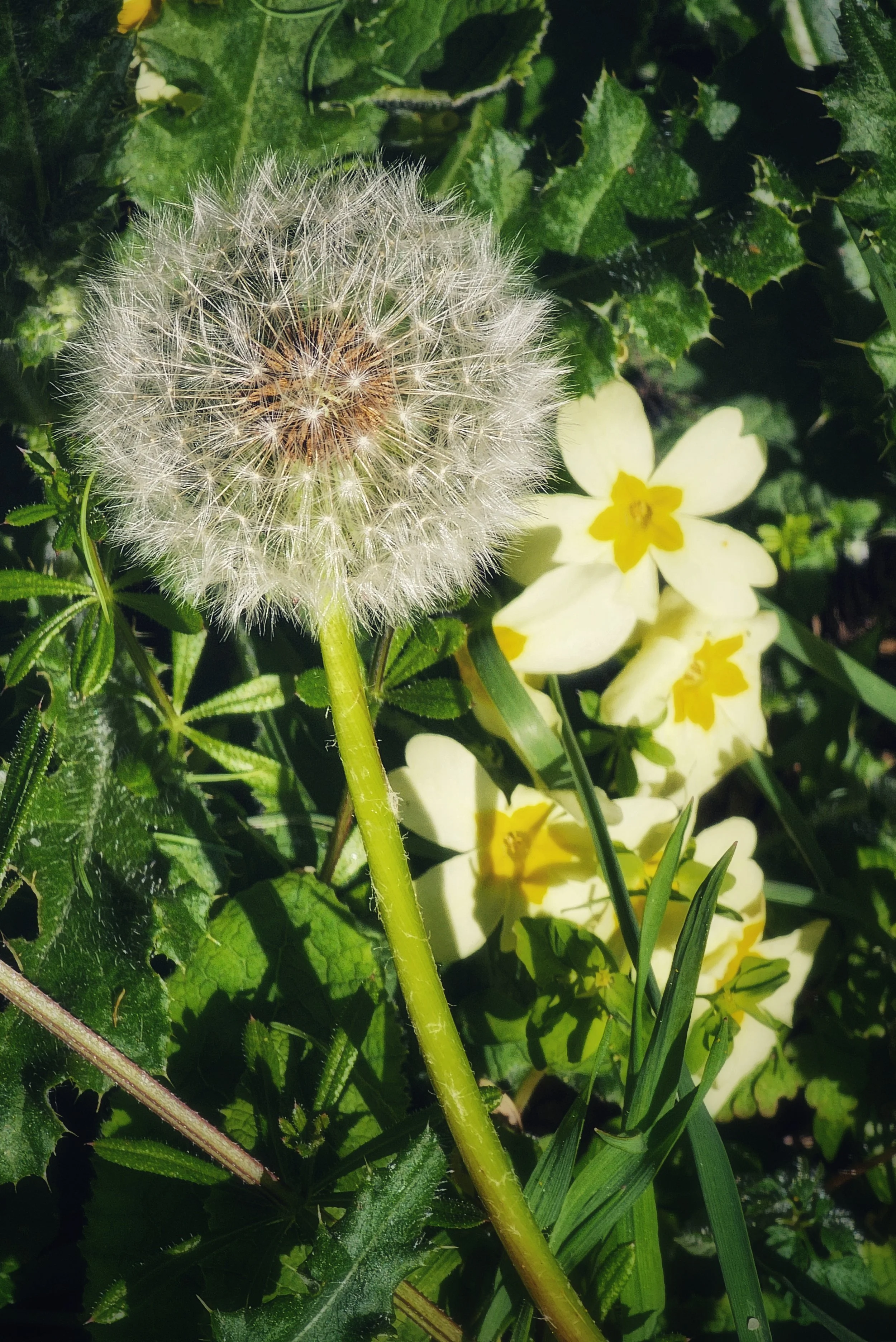 20250409_112359 (1).jpg