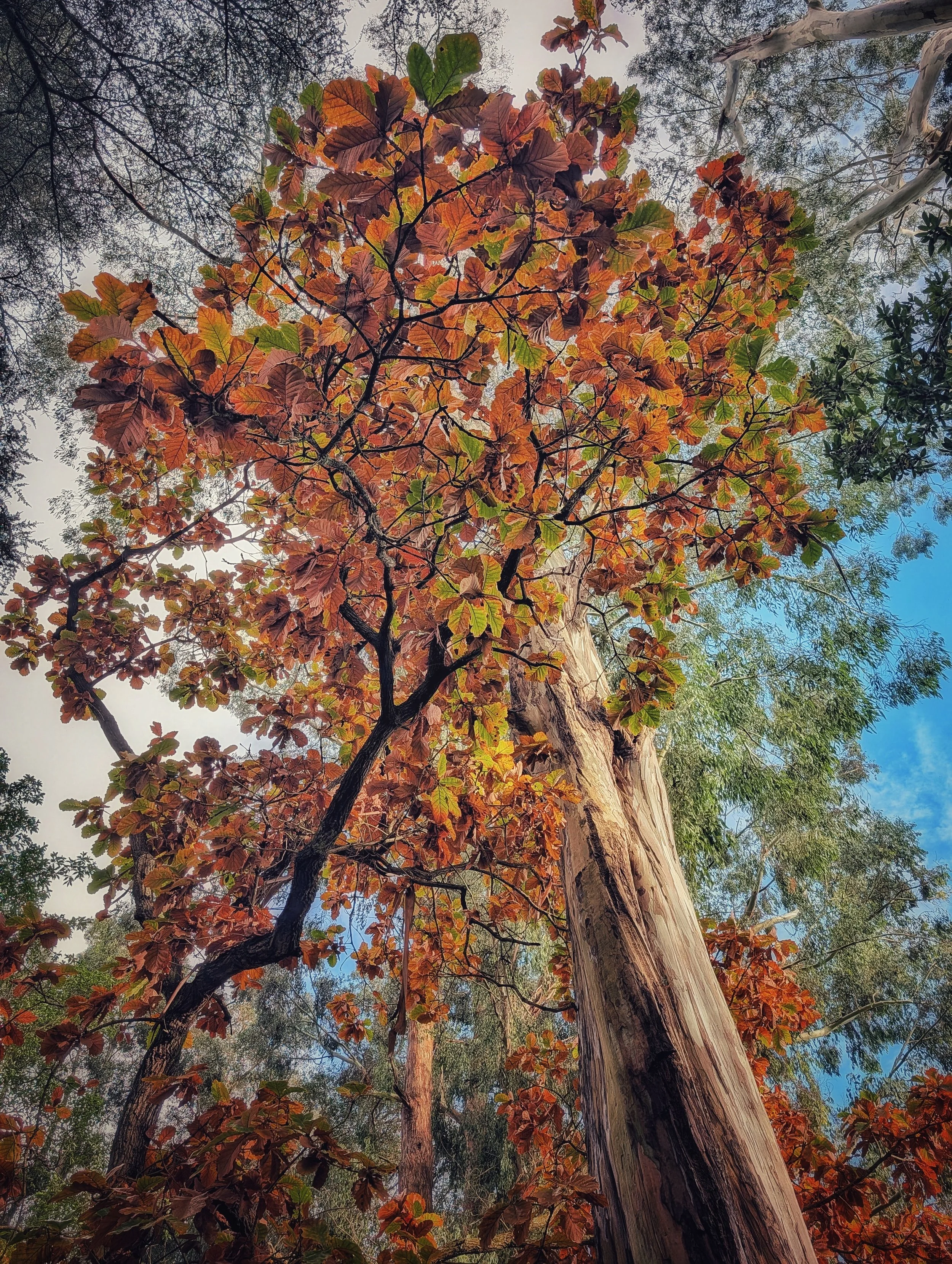 PXL_20251113_111516240.MP (1).jpg