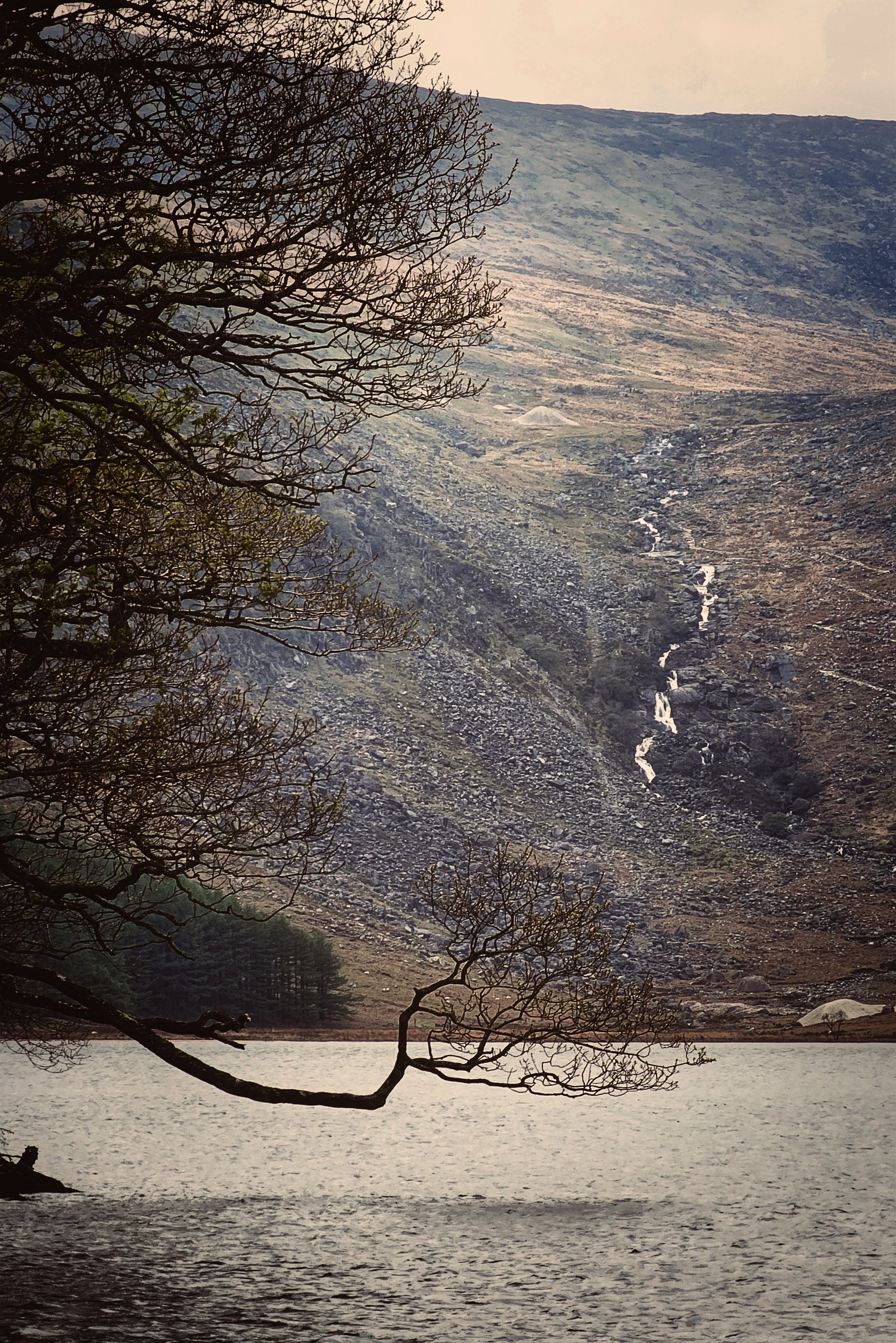 20250420_125804 (1).jpg