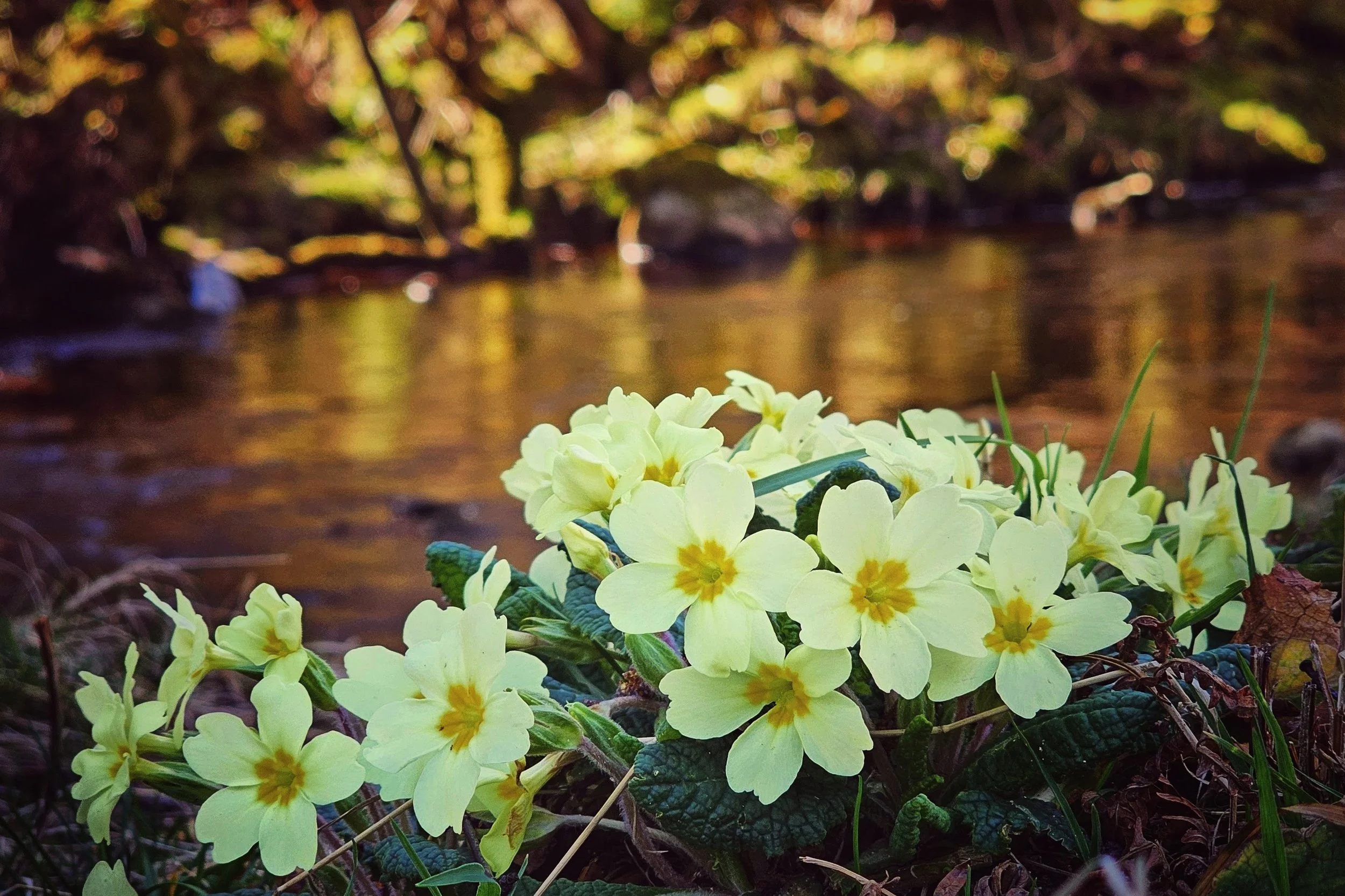 20250324_125538~2 (1).jpg