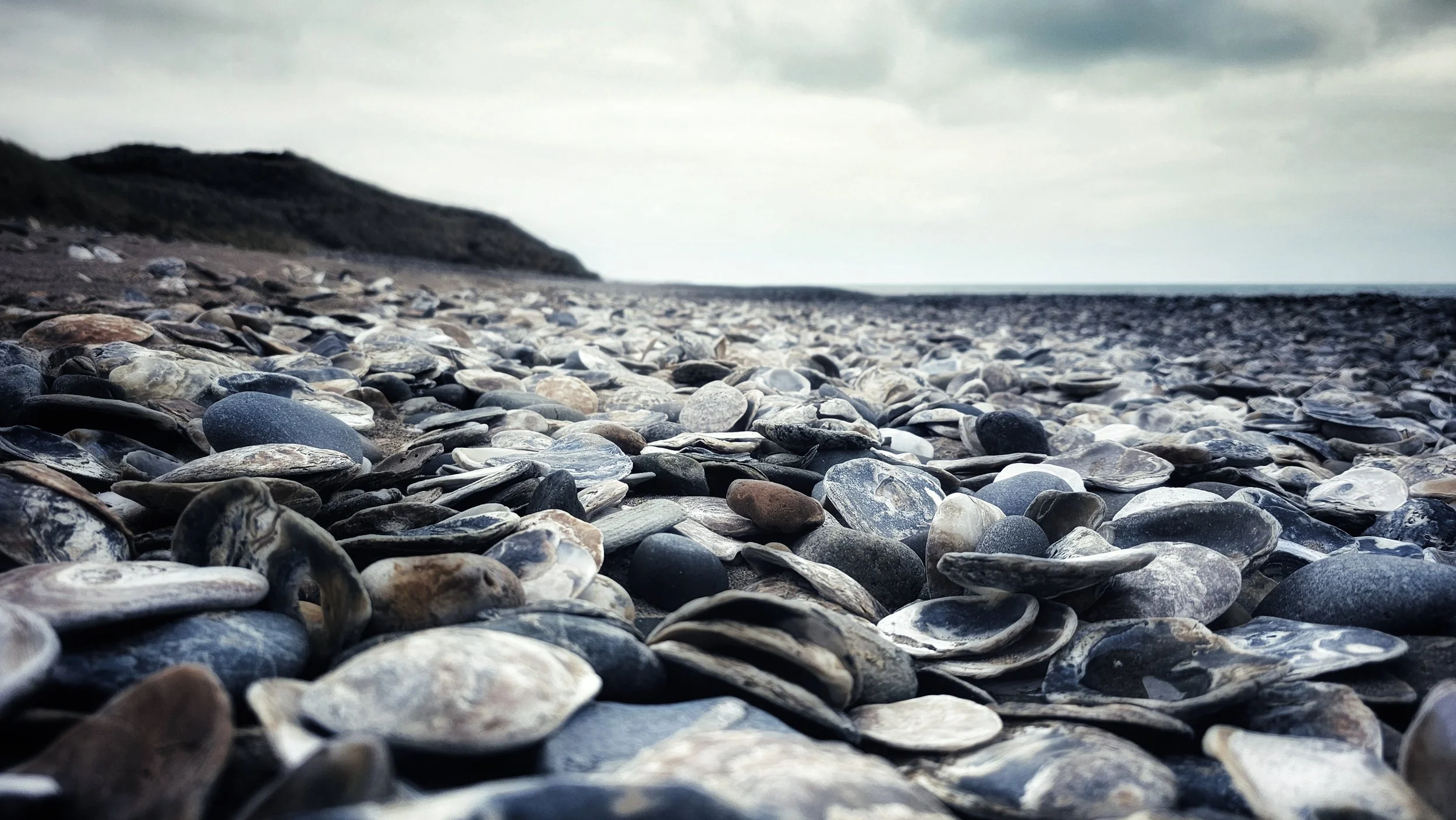 20250211_153921 (2).jpg