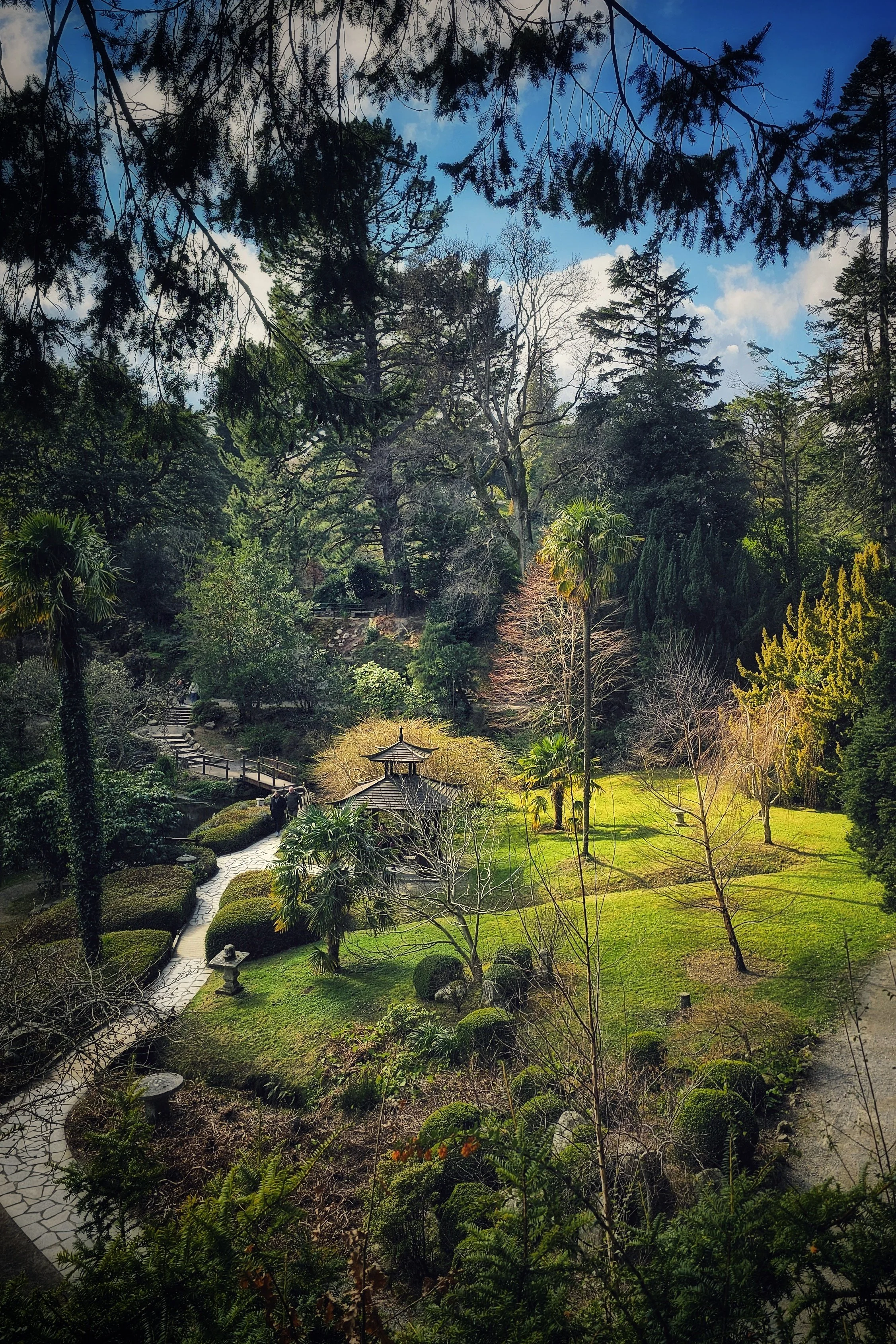 20250316_130138 (1).jpg