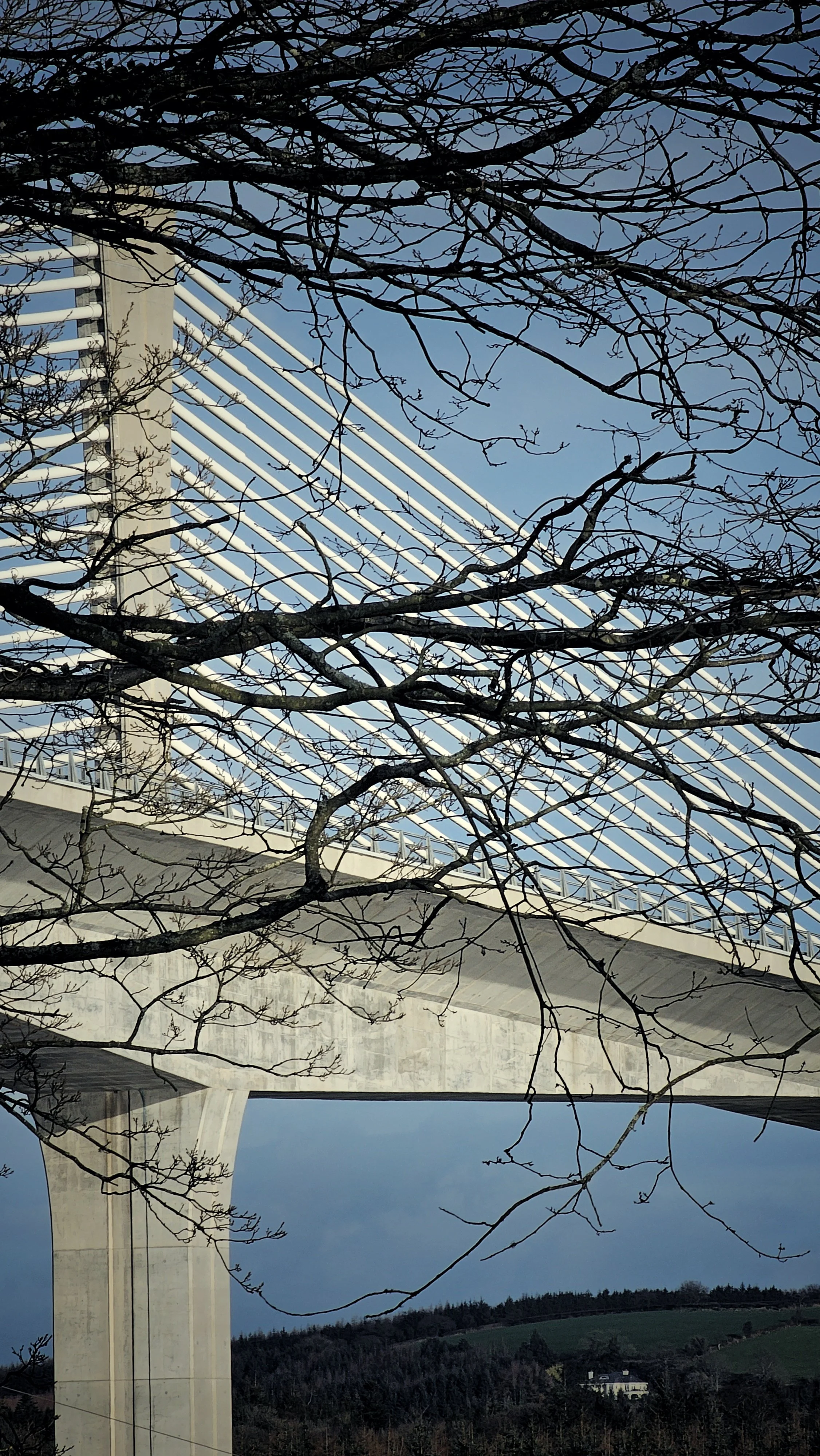 Ireland's Longest Bridge