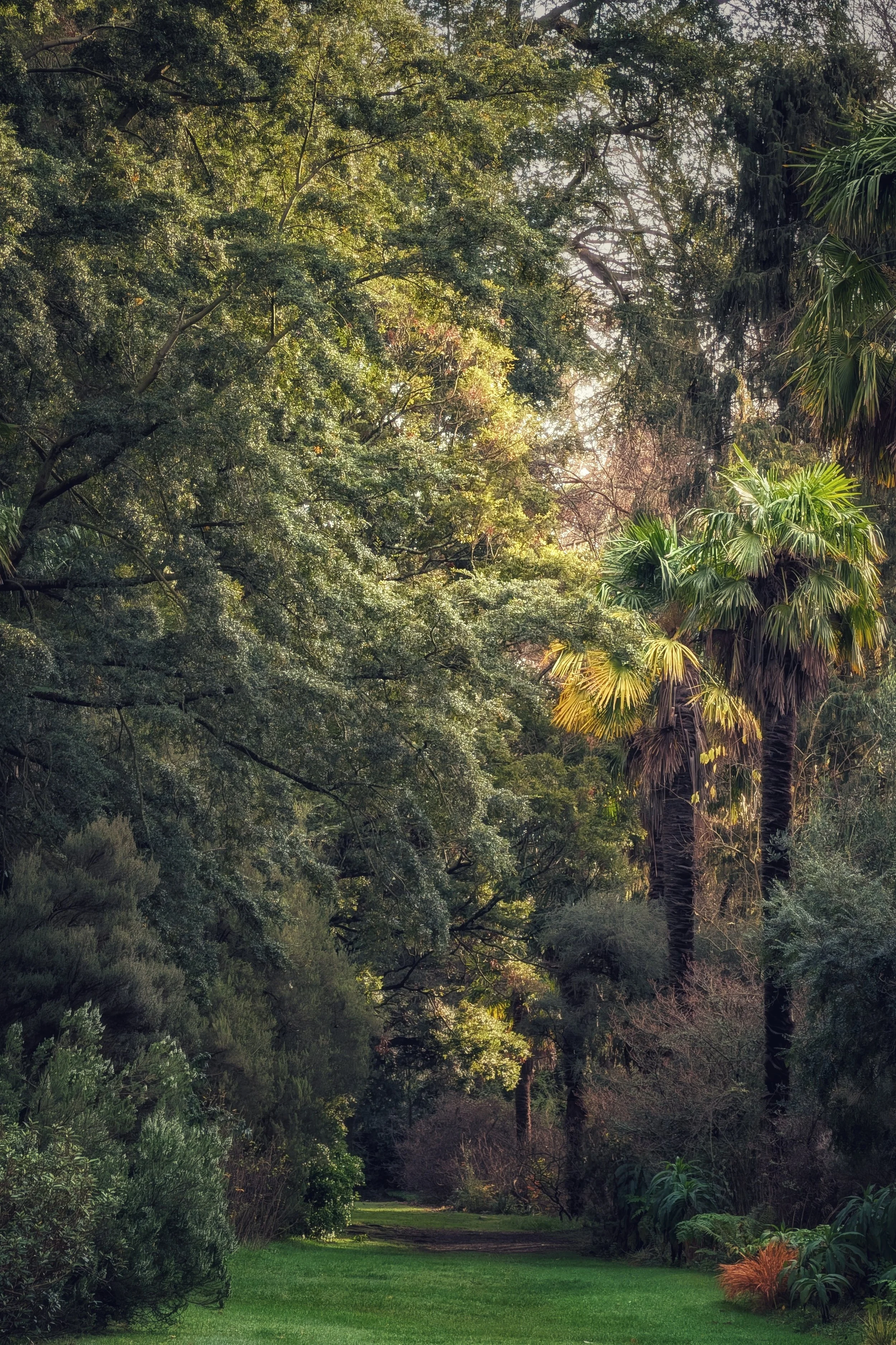 Late Afternoon in the Garden