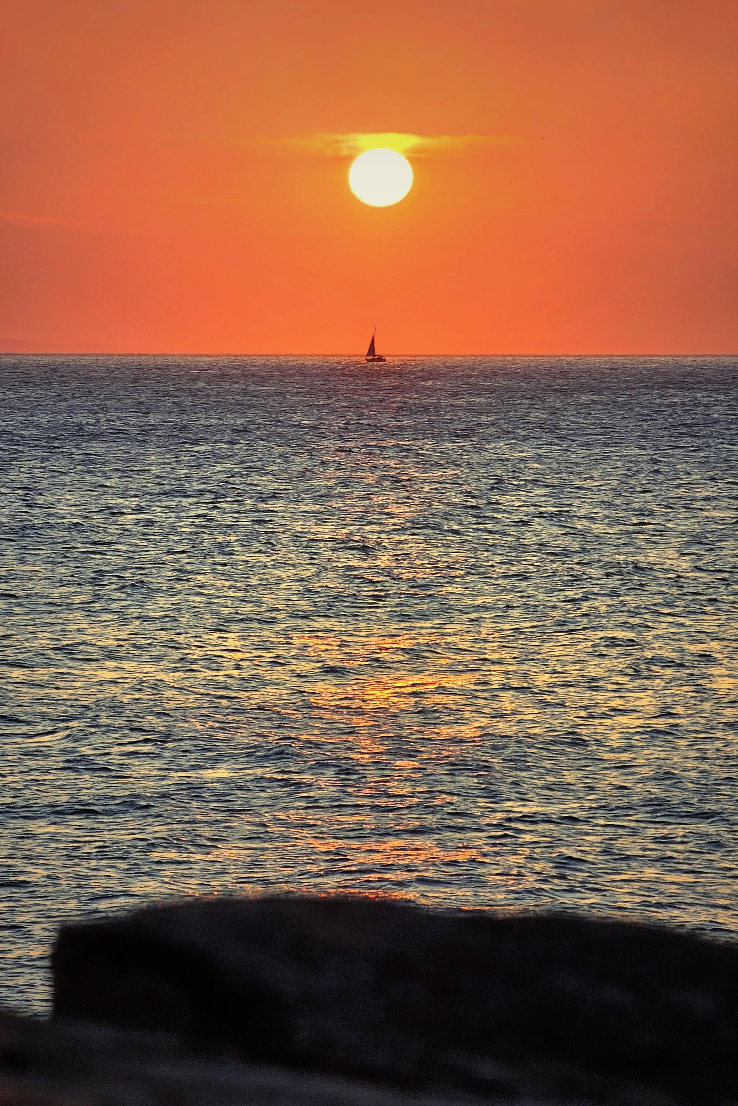 20250404_195542~2 (1) (1).jpg