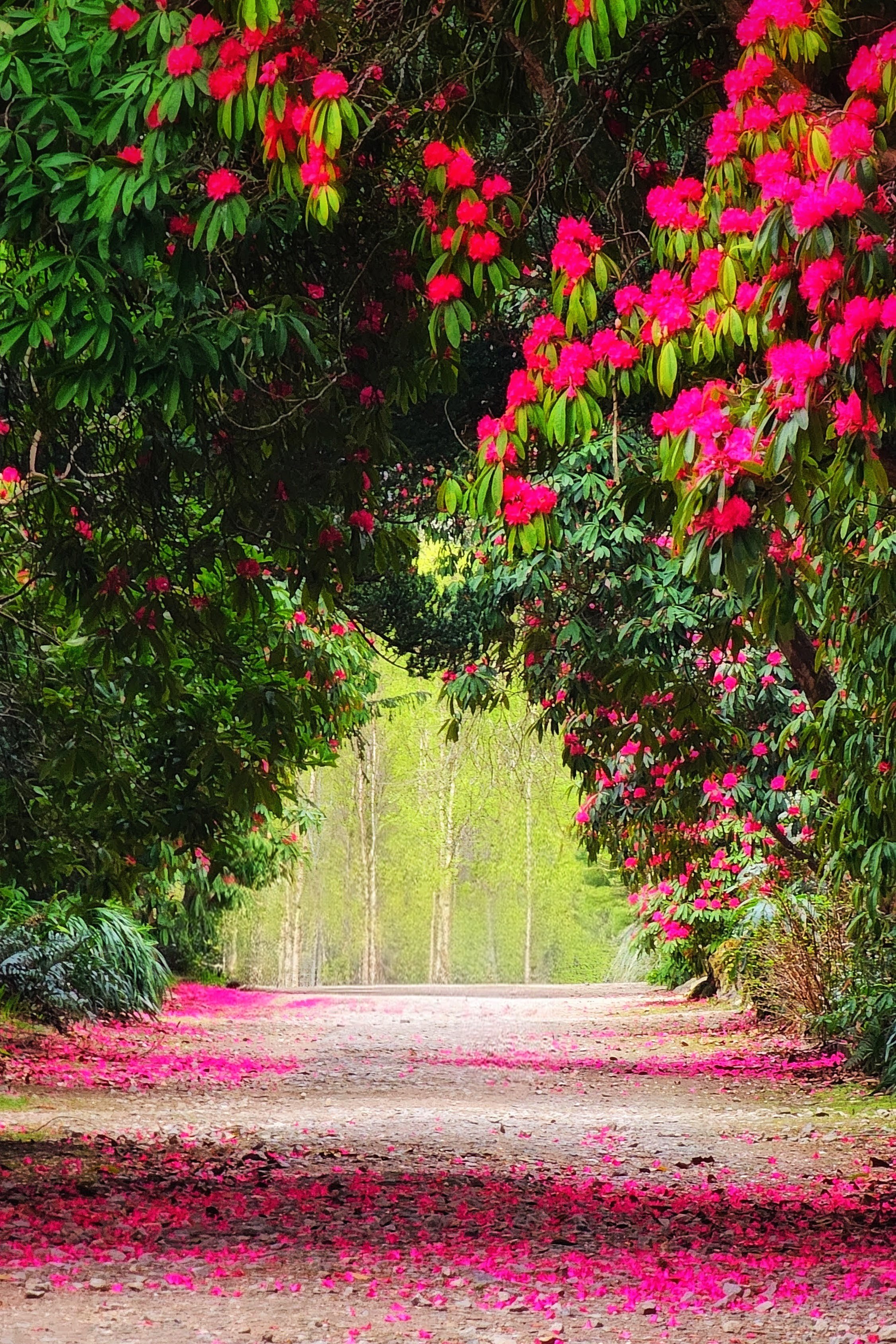 20250327_153405~2 (2)~2.jpg