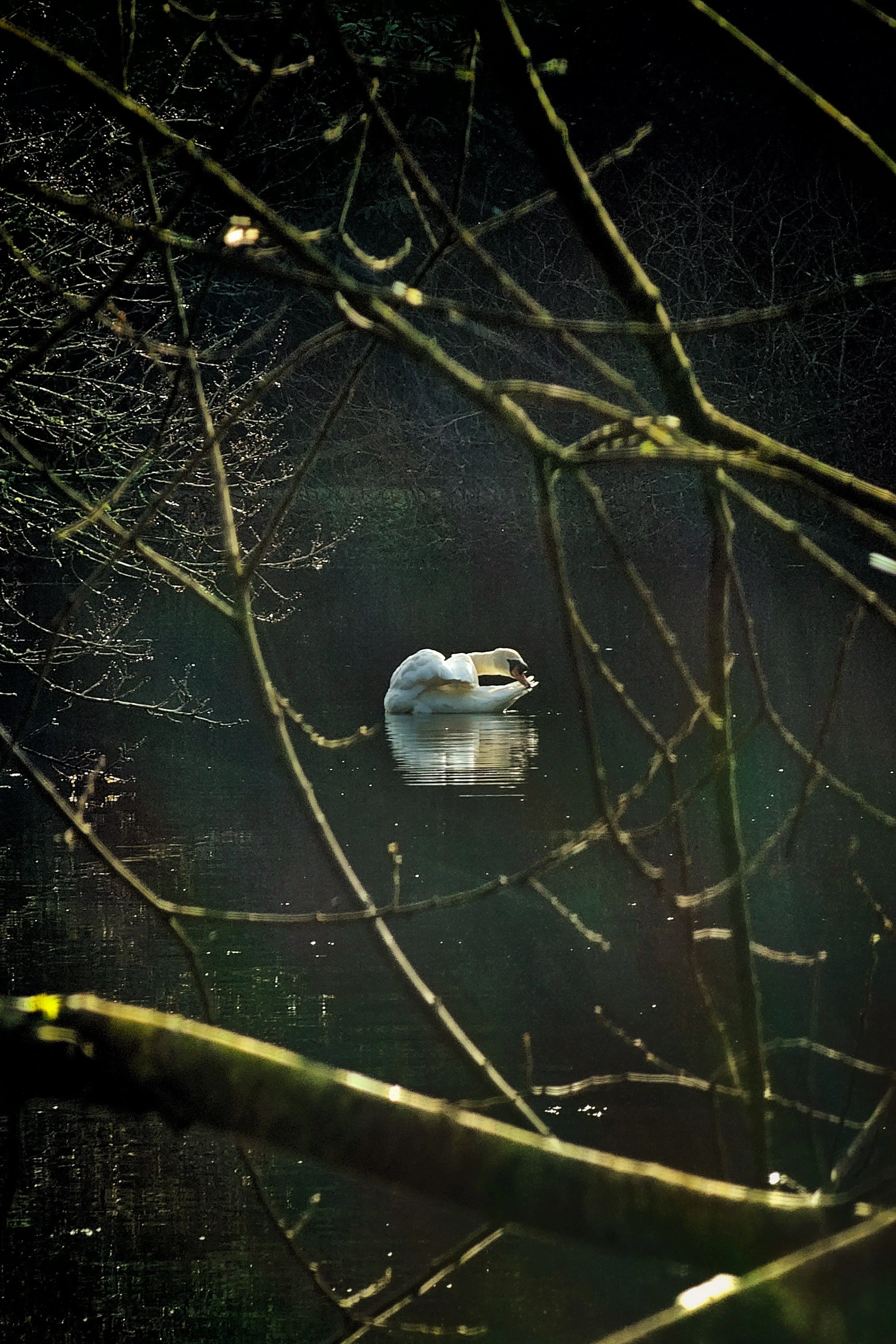 20250115_133533 (1).jpg