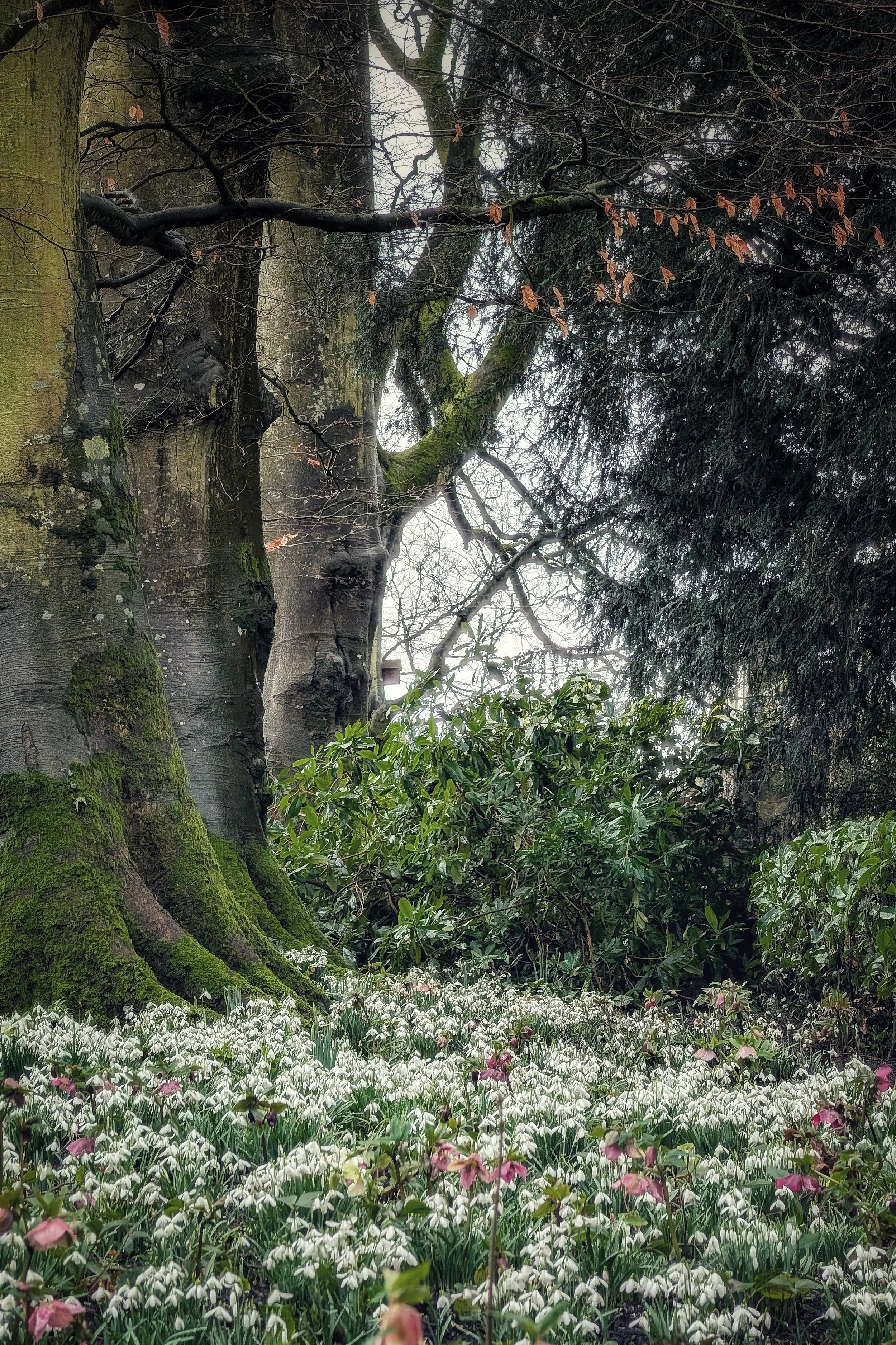 Winter’s Final Flourish