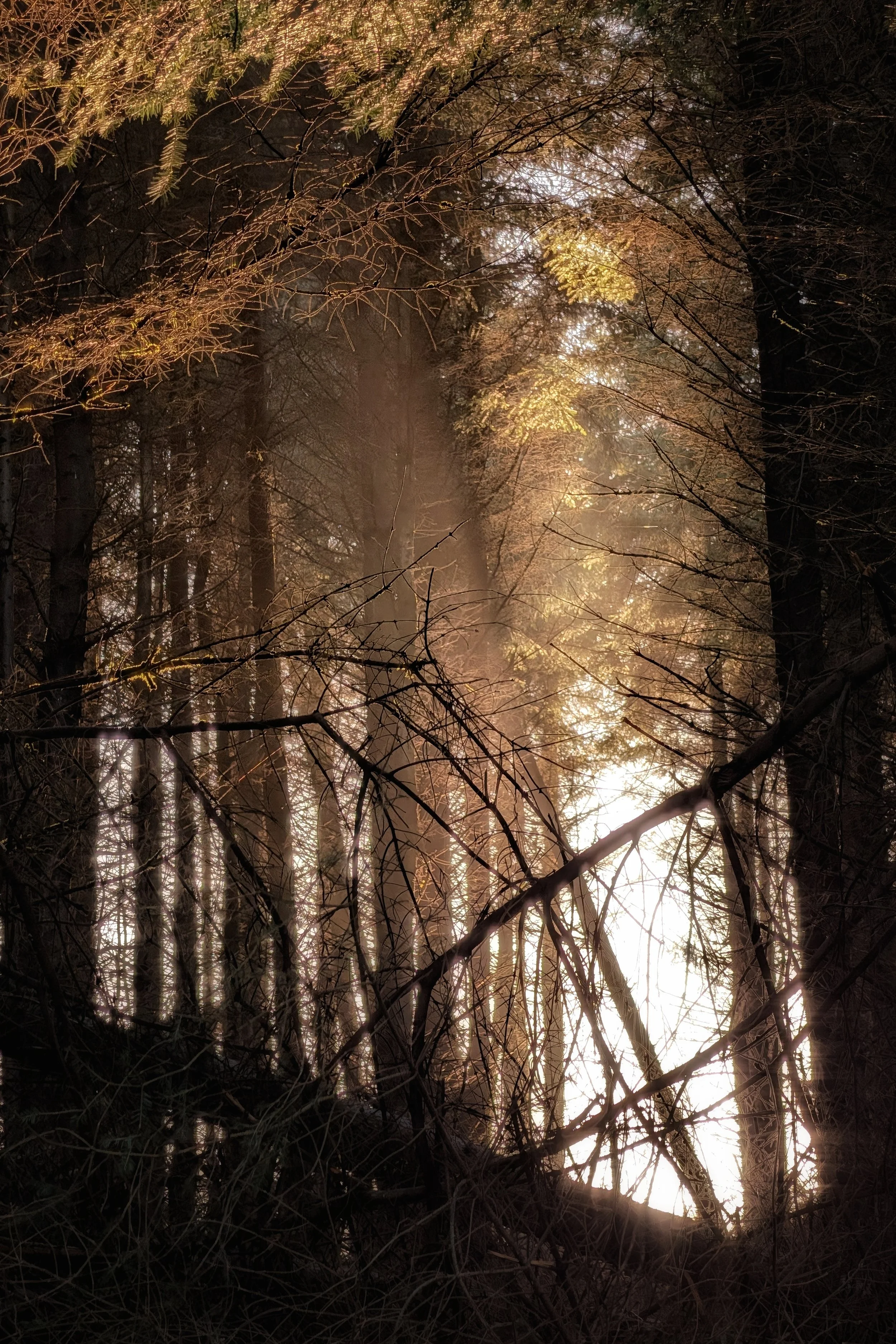 Light Breaks Through