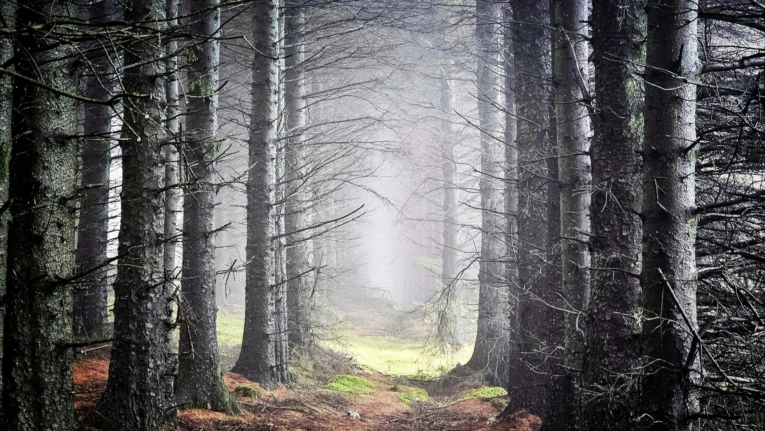 20241109_122600~2 (1).jpg