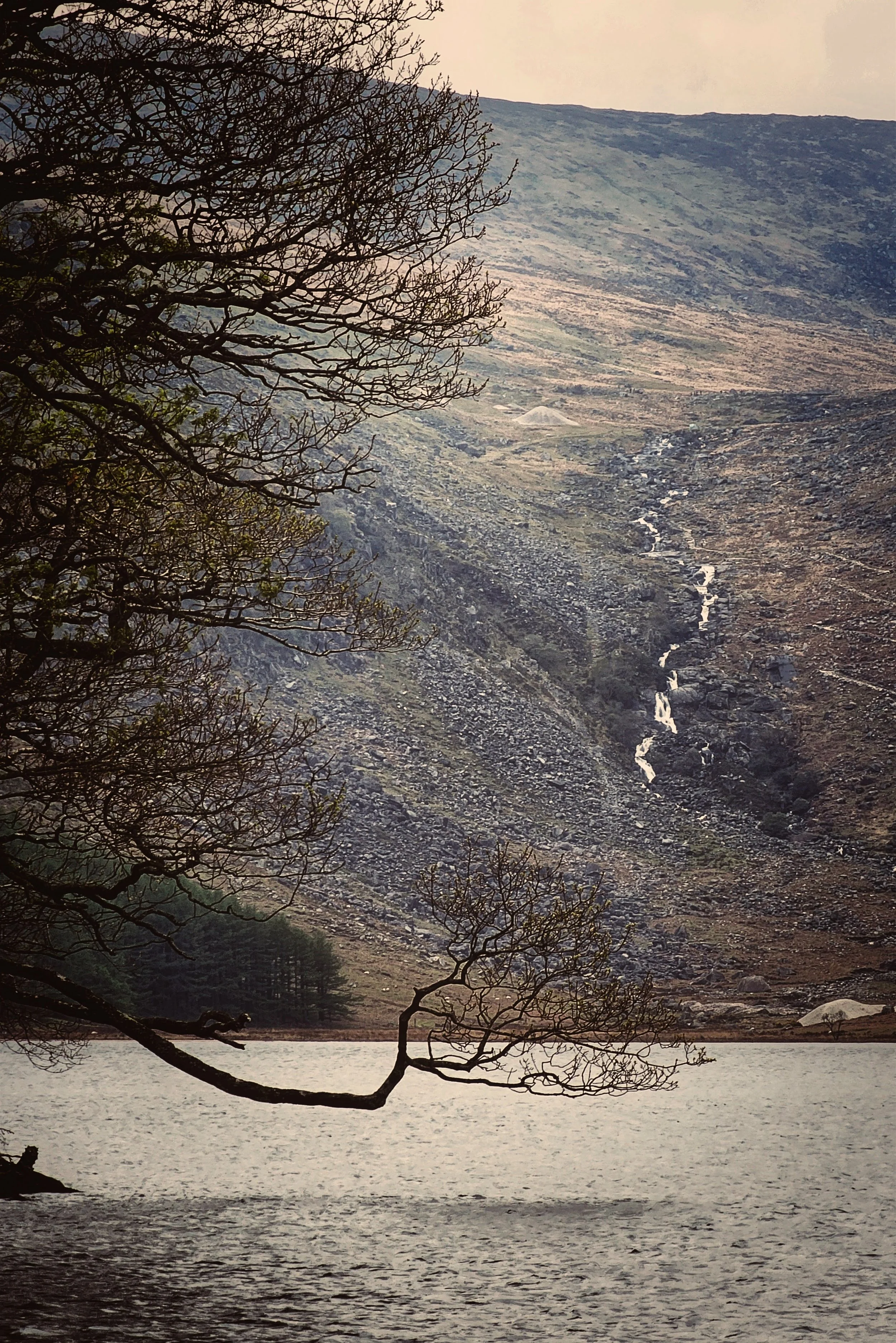 20250420_125804 (1).jpg