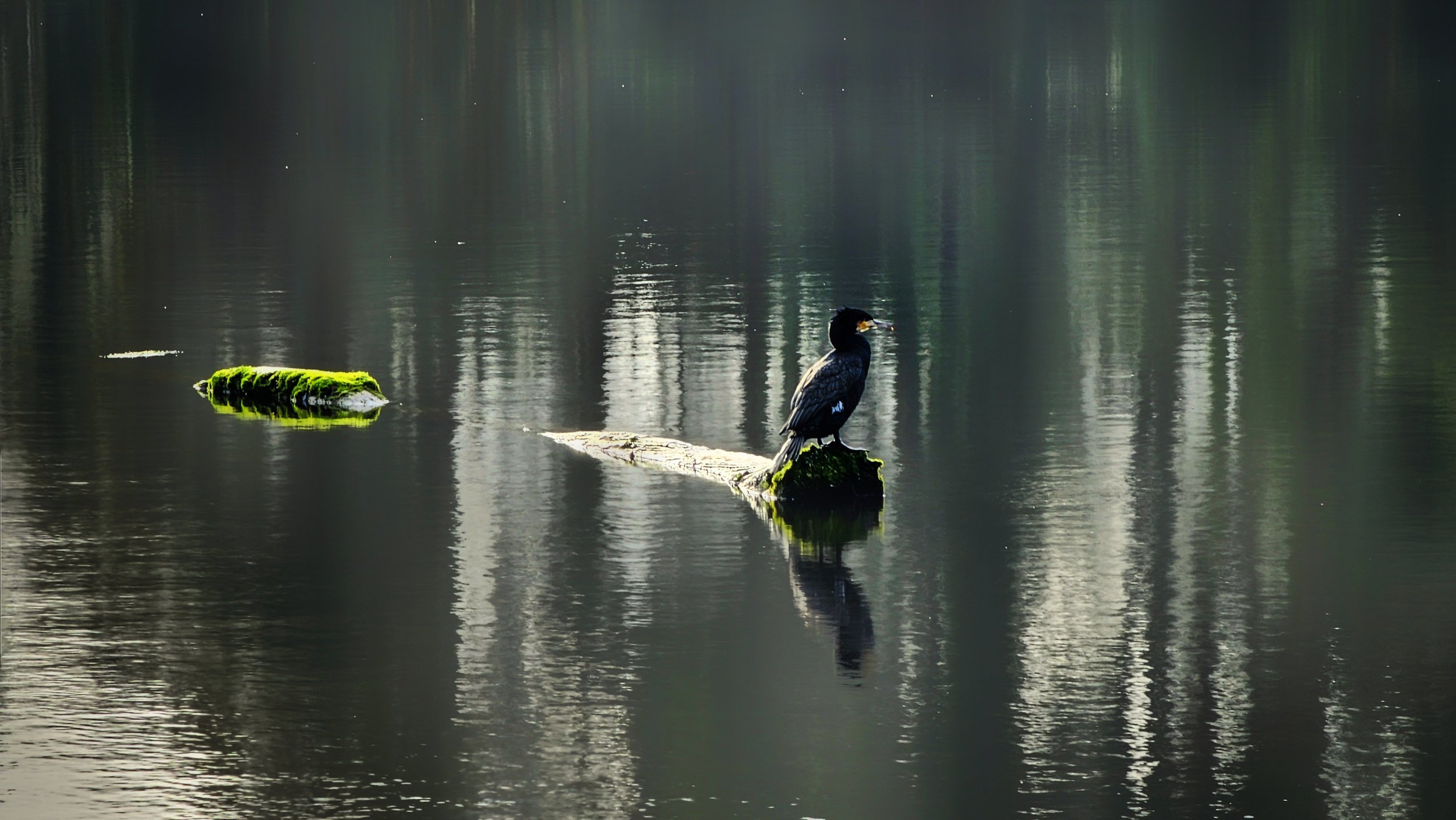 20250115_113818 (1).jpg