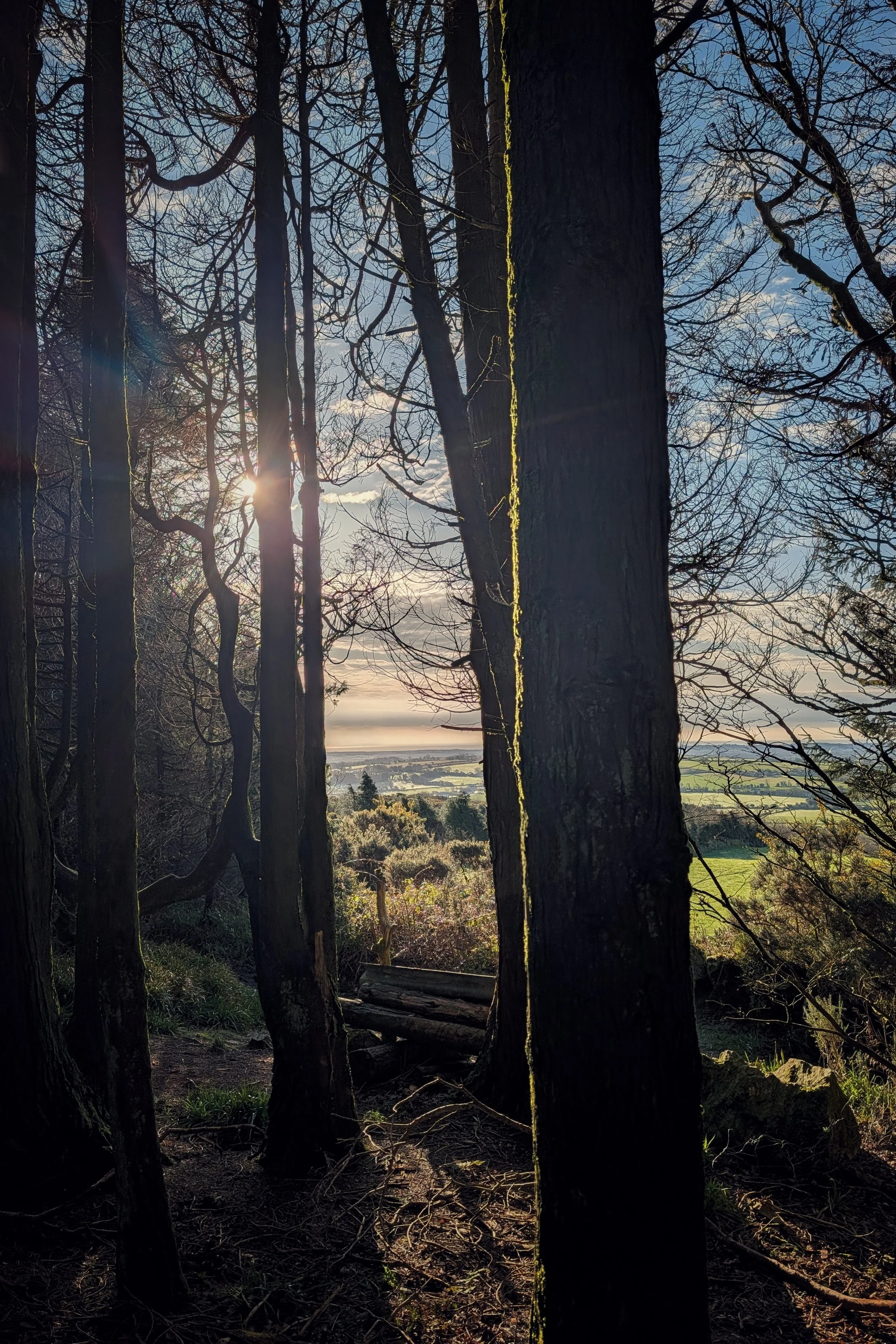 Carrig Rua Hill, County Wexford