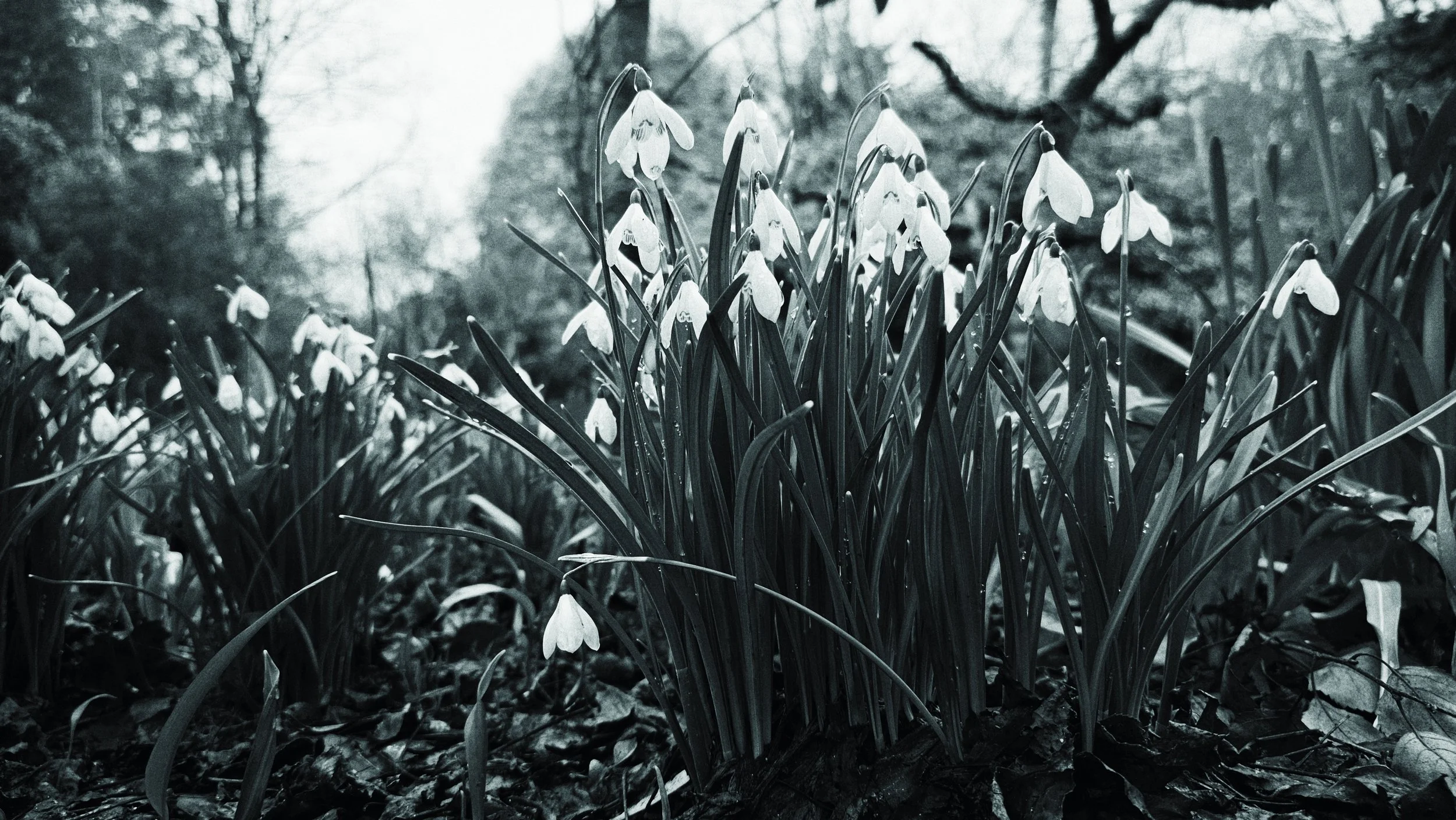 20250216_124825 (1).jpg