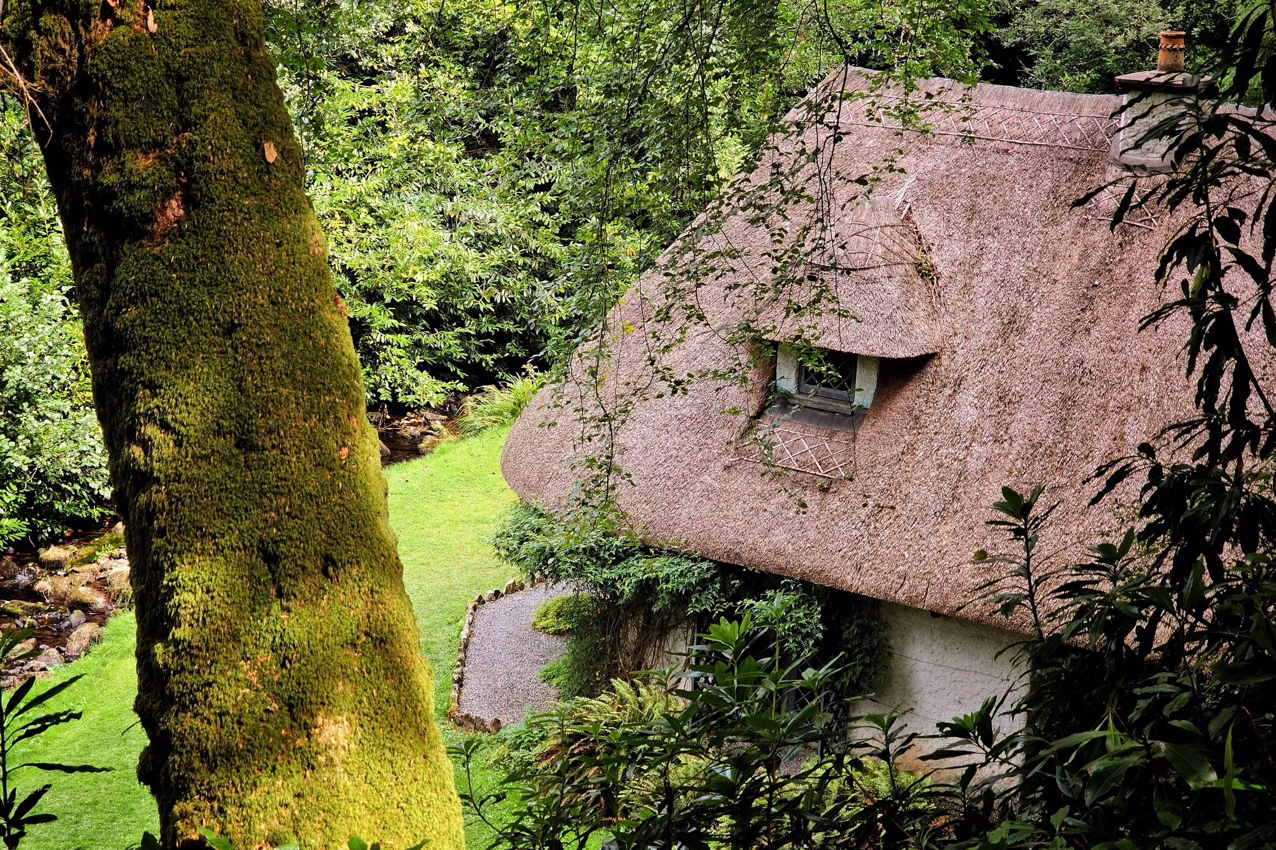 Kilfane Glen and Waterfall, County Kilkenny