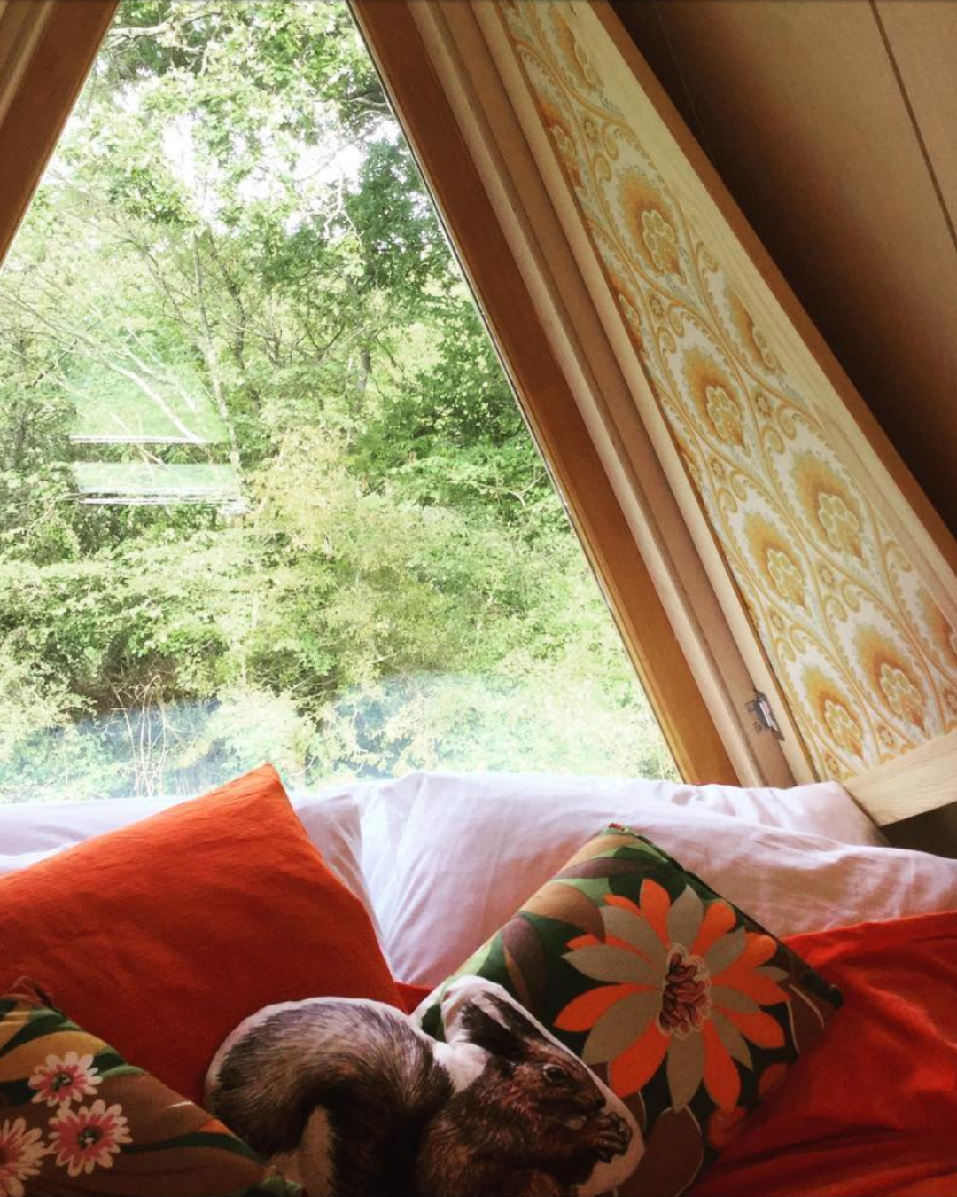 A cozy indoor space with a large window showing green trees outside, decorated with a yellow floral-patterned curtain. The bed or sofa is adorned with colorful pillows, including an orange one, and a small dog curled up on a floral pillow.