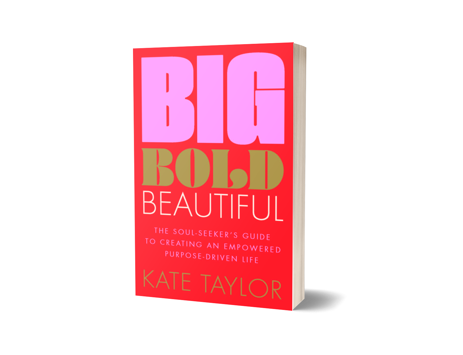 BIG BOLD BEAUTIFUL BOOK