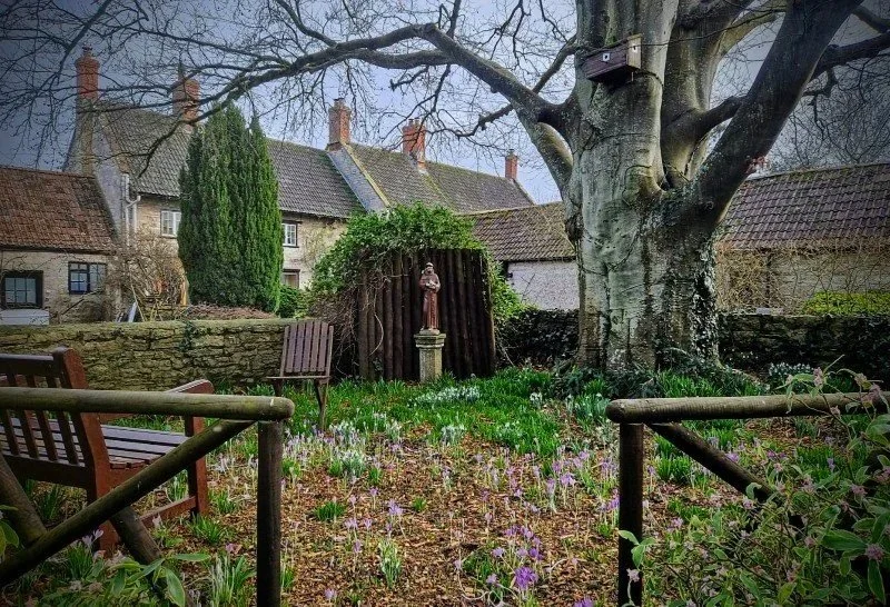 A small garden with a large tree, surrounded by a wooden fence, benches, spring flowers, and residential houses in the background.