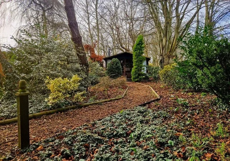 A wooded garden with a gravel path leading up to a small, dark-colored wooden gazebo or shed, surrounded by various bushes and trees.
