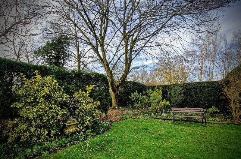 A peaceful backyard garden with a green lawn, a park bench, a statue, various bushes, and a large tree, surrounded by a tall hedge and other trees in the background.