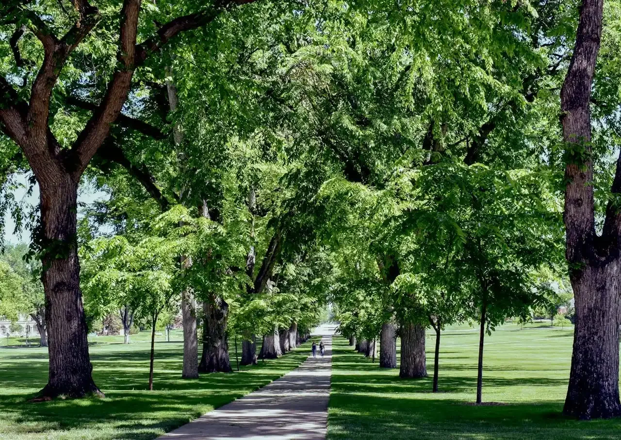 Colorado State University oval