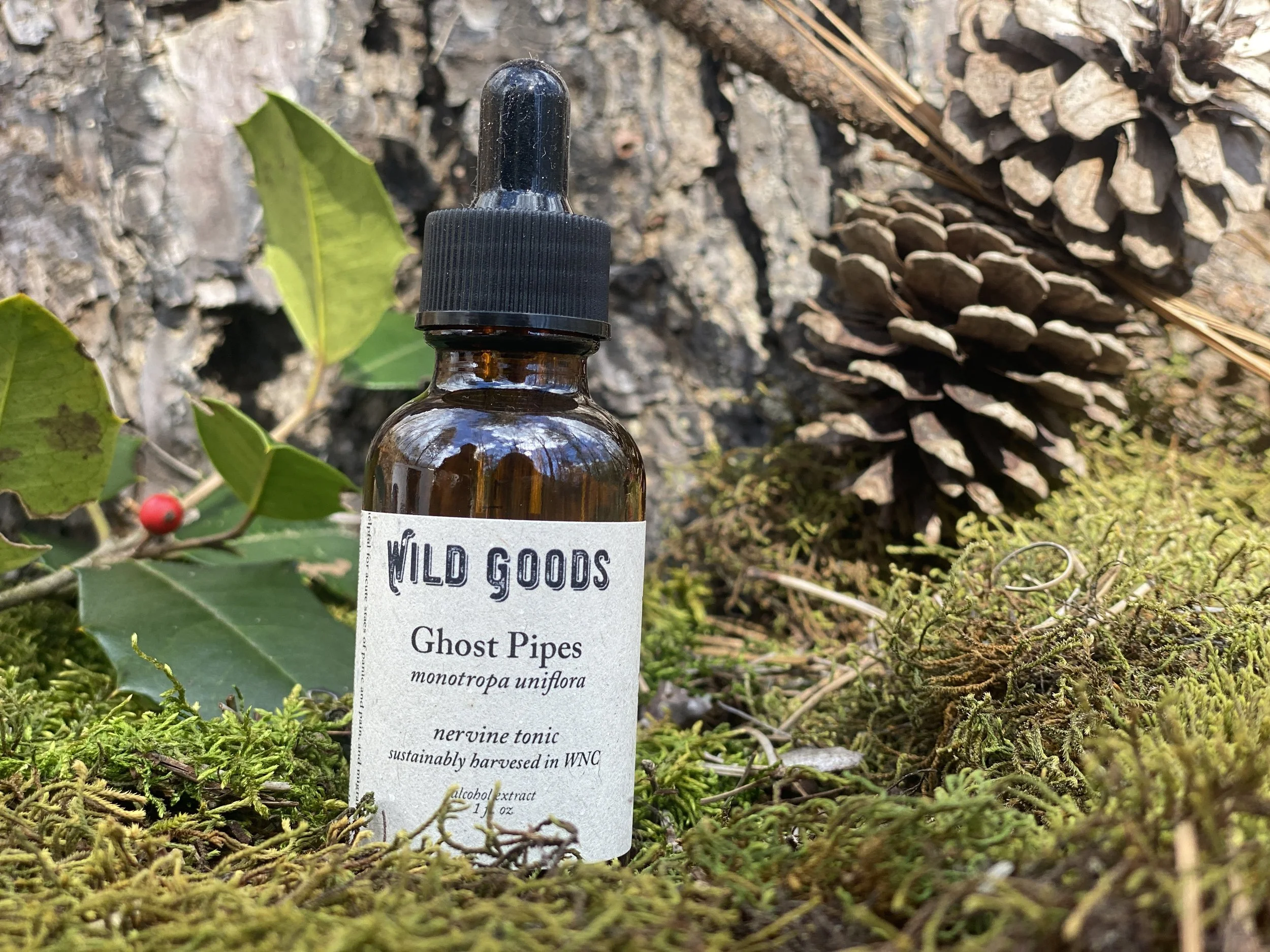 Ghost Pipes Tincture