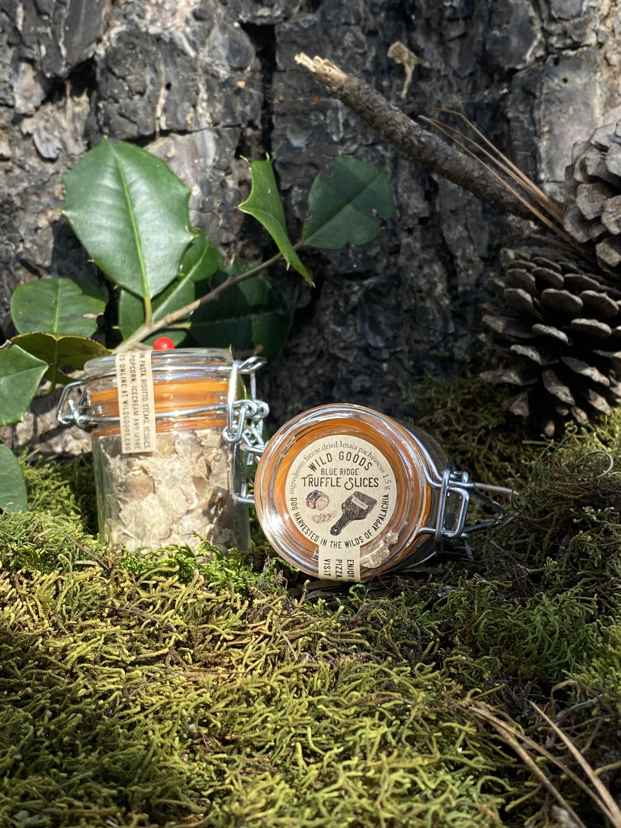 Freeze Dried Truffle Slices - Blue Ridge Truffle