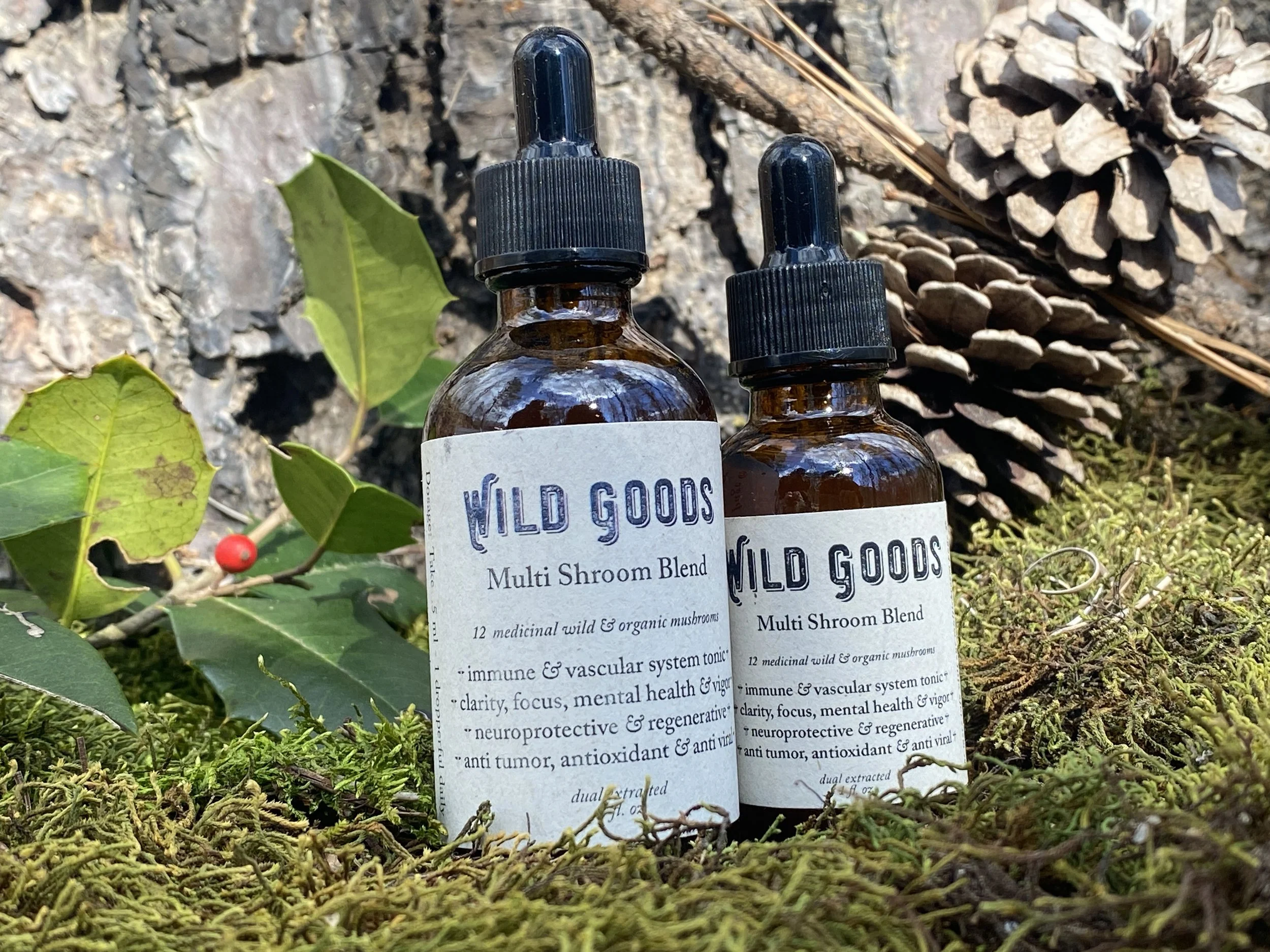 Multi Shroom Adaptogenic Wild Mushroom Tincture