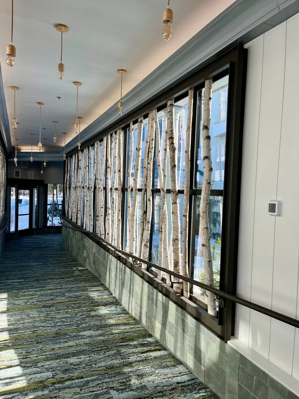 A corridor with a large window decorated with white birch tree trunks as a design element. The corridor has a textured multi-colored carpet, warm lighting fixtures hanging from the ceiling, and a handrail along the window wall.