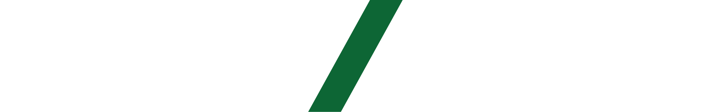 Close-up of a logo with the word 'RIVAL' in bold, stylized letters. The letters are primarily white, with a dark green slash cutting through the middle, set against a black background.