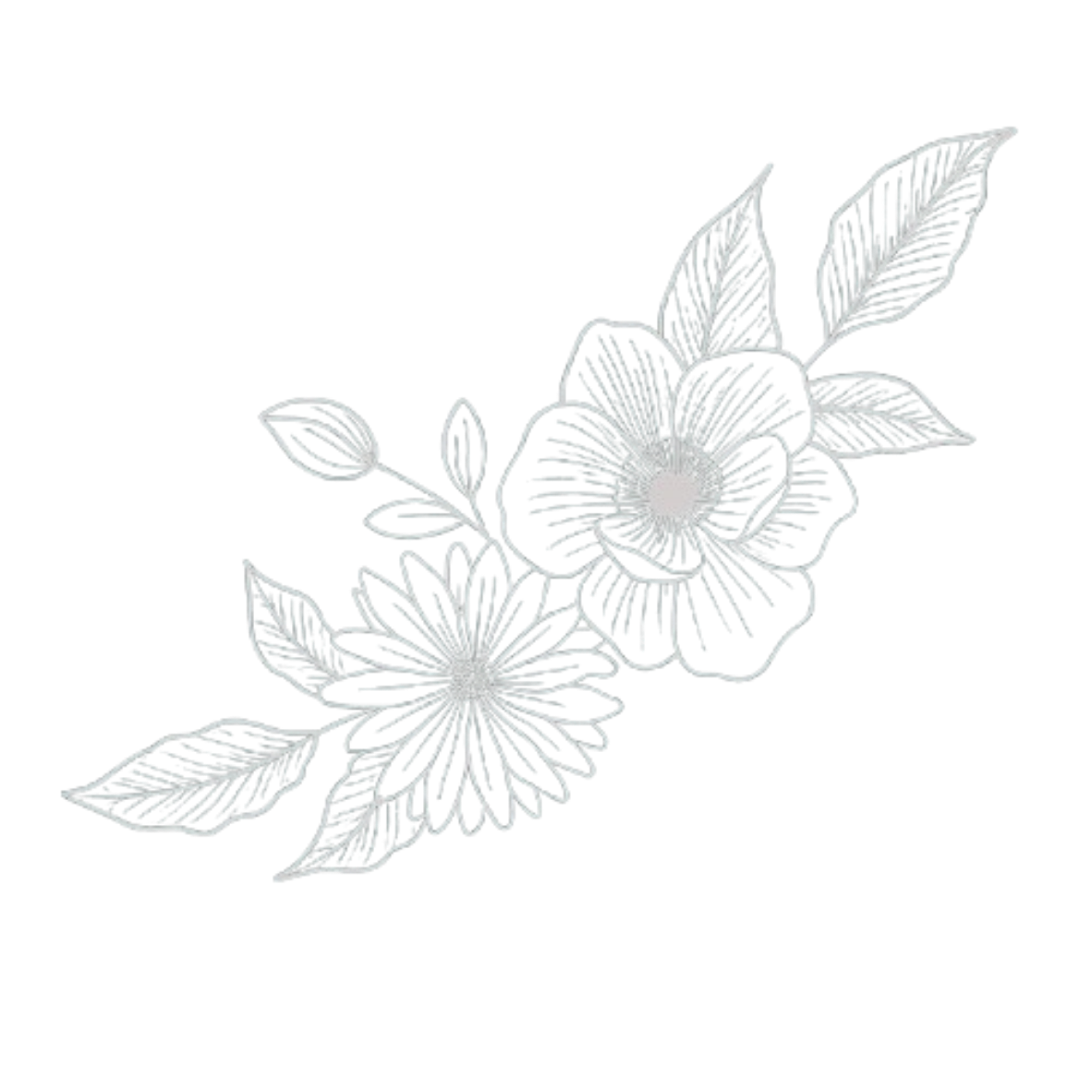 An intricate white line drawing of a floral design featuring two large flowers with detailed petals and broad leaves on a transparent background.