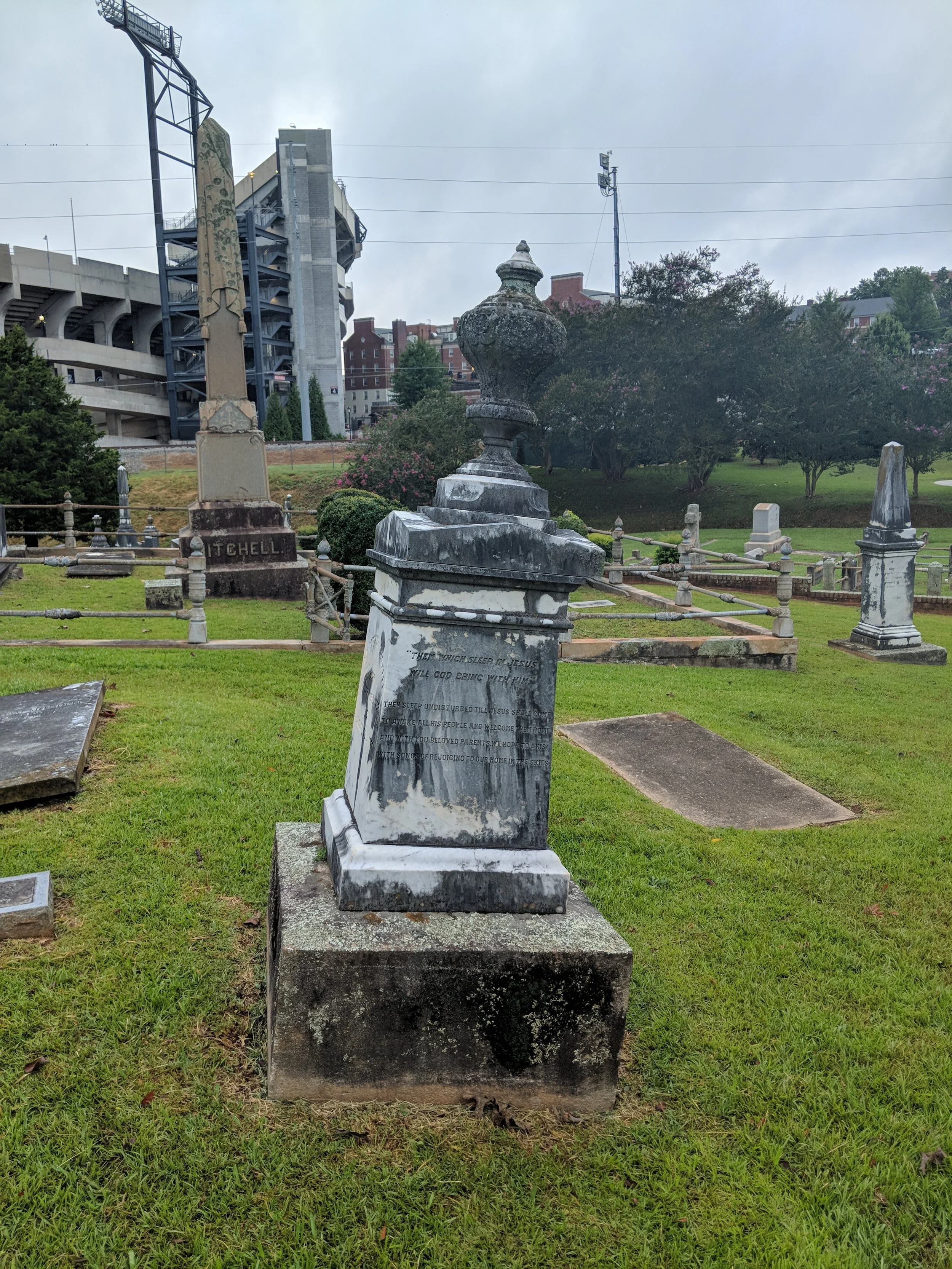 IMG_20180818_084436.jpg