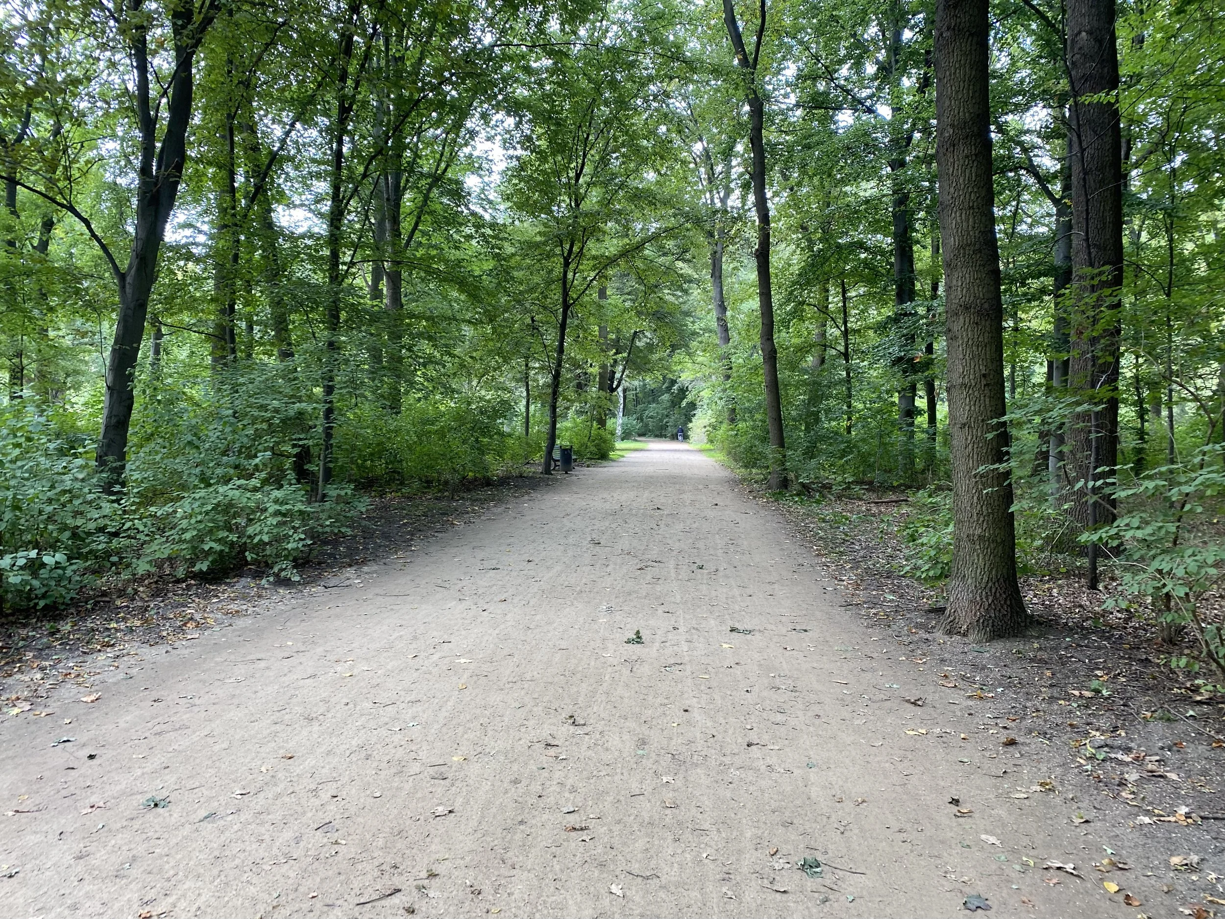 En grussti gjennom en grønn skog med høye trær og tette grønne blader, og en person i det fjerne.
