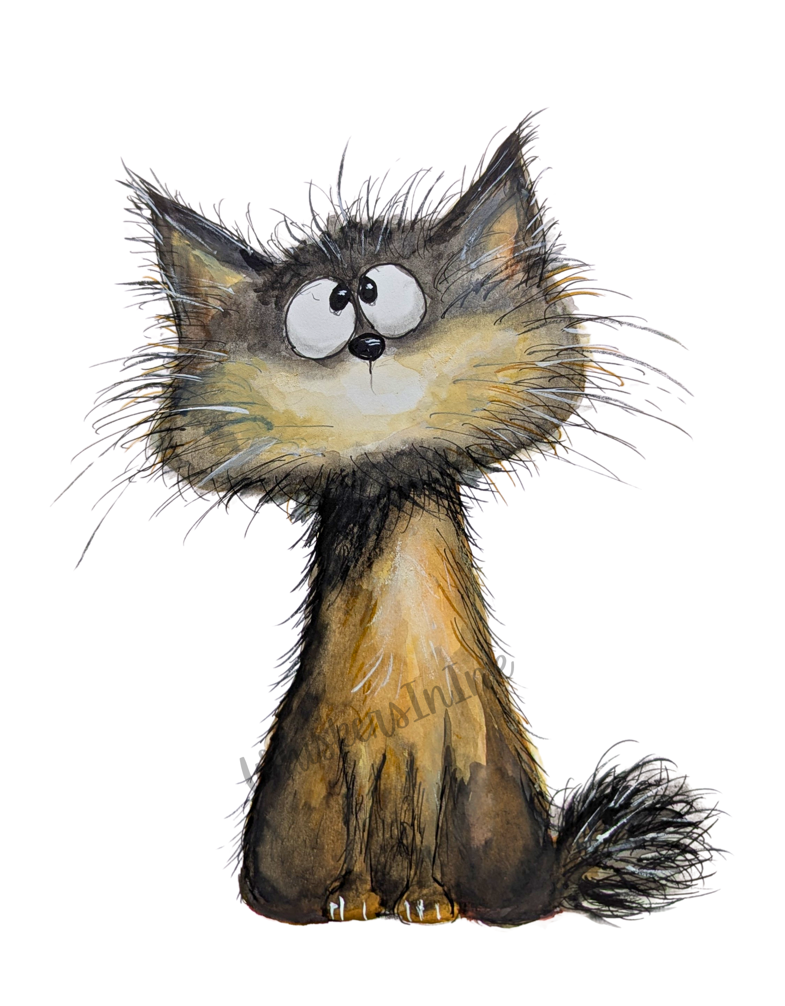 Confused Kitty - I'm Sure I Forgot Something 